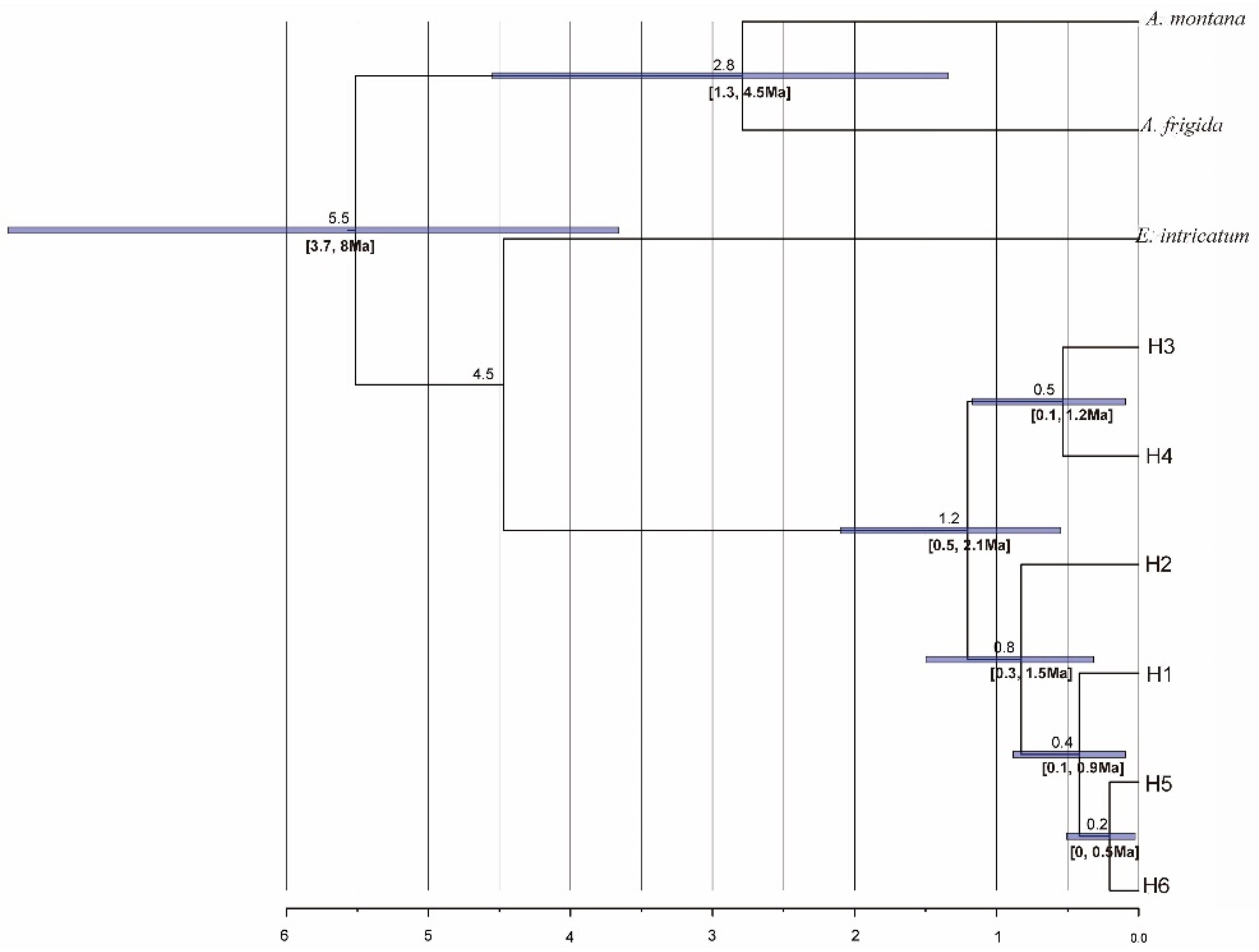 Diversity 14 00104 g005