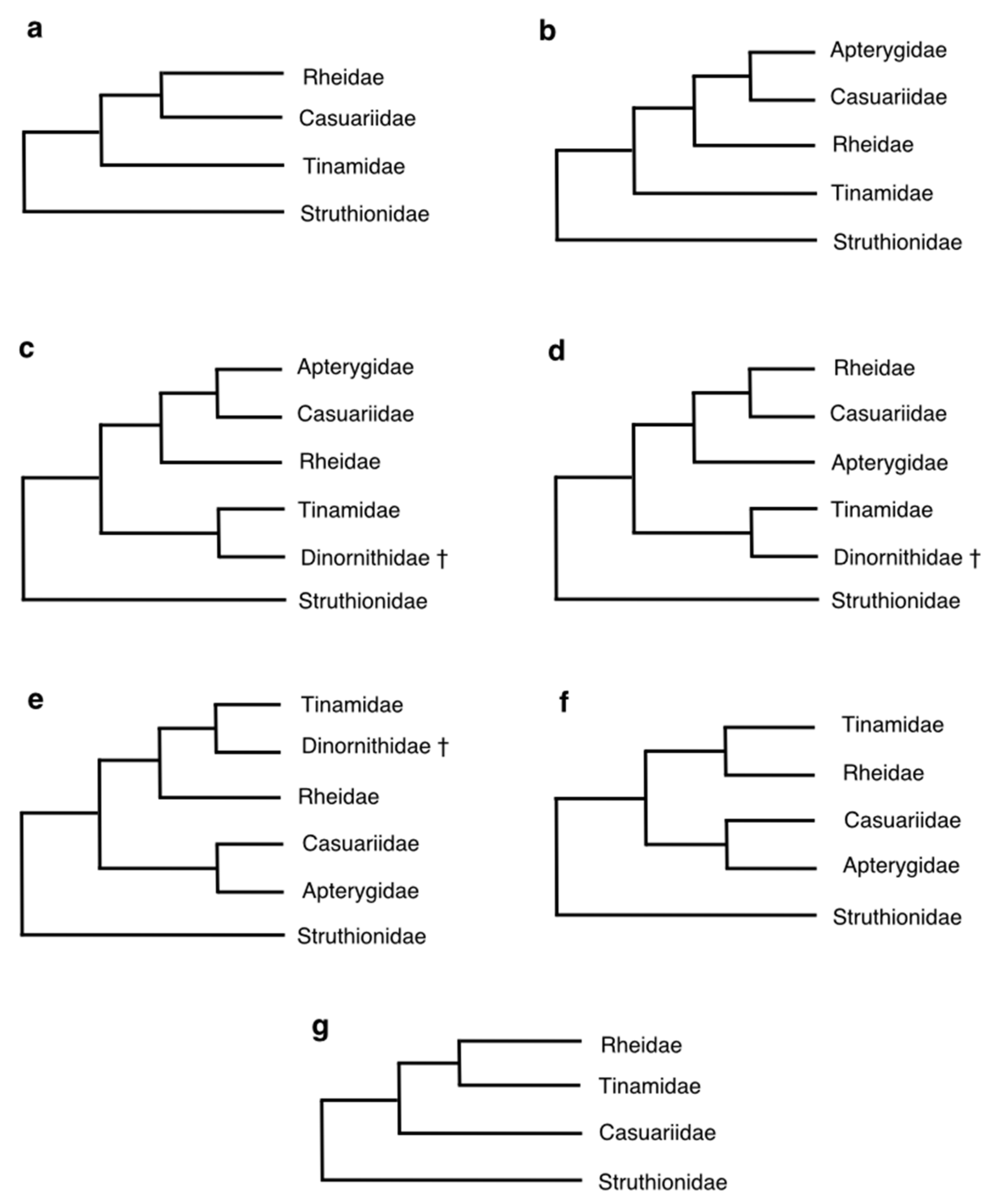 Diversity 14 00105 g011