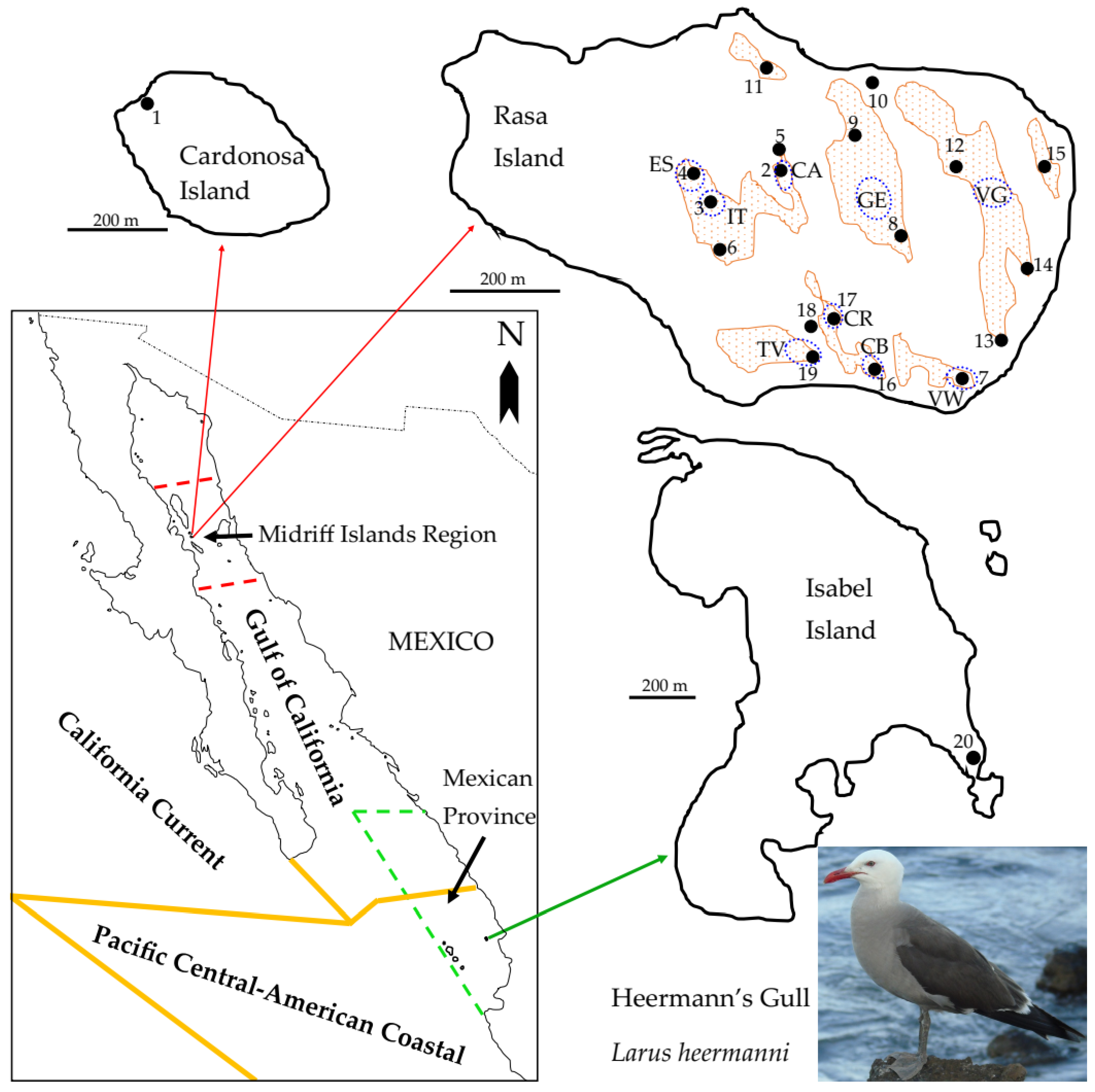 Diversity 14 00108 g001 Diversity 14 00108 g001