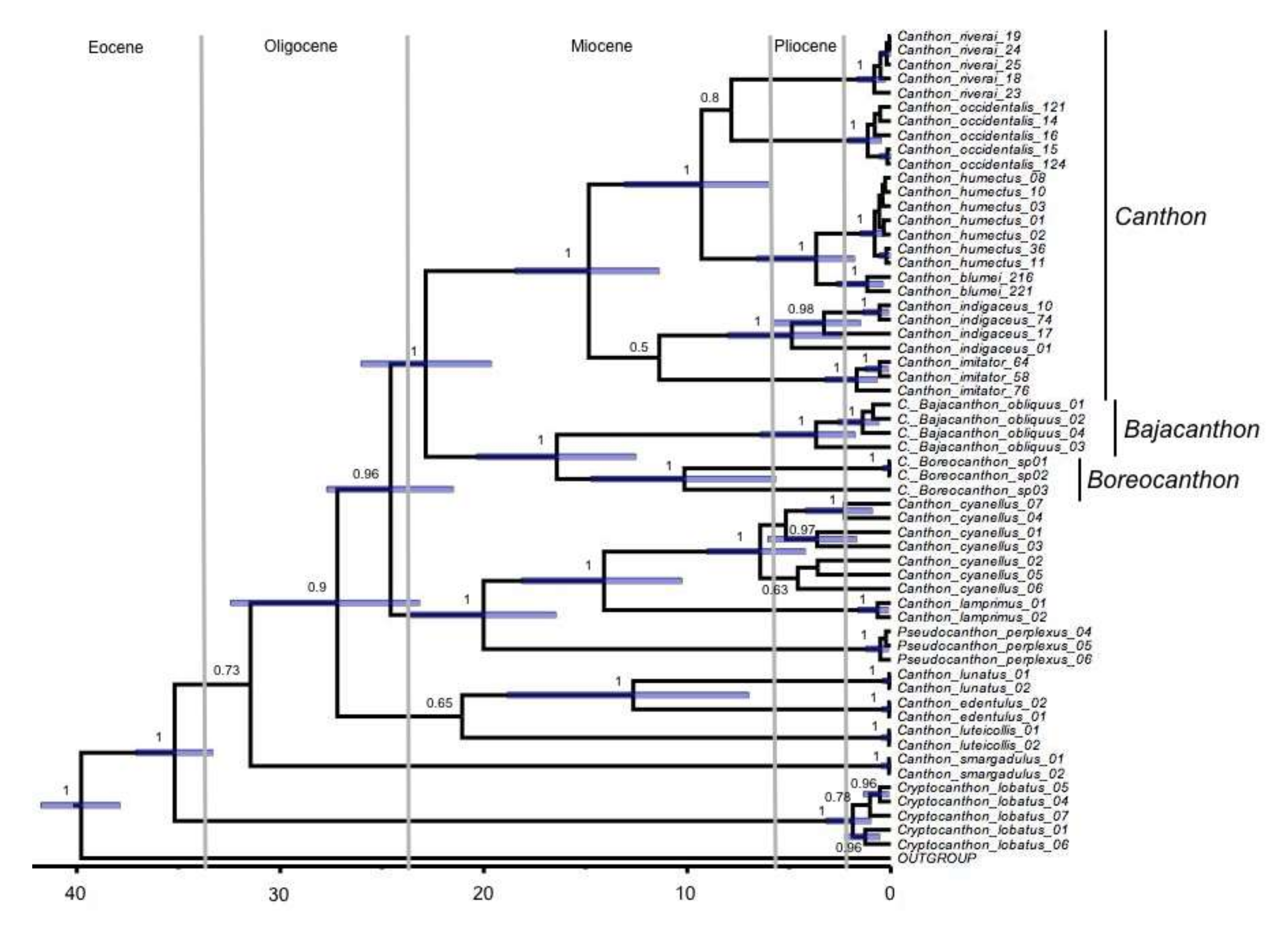 Diversity 14 00109 g004