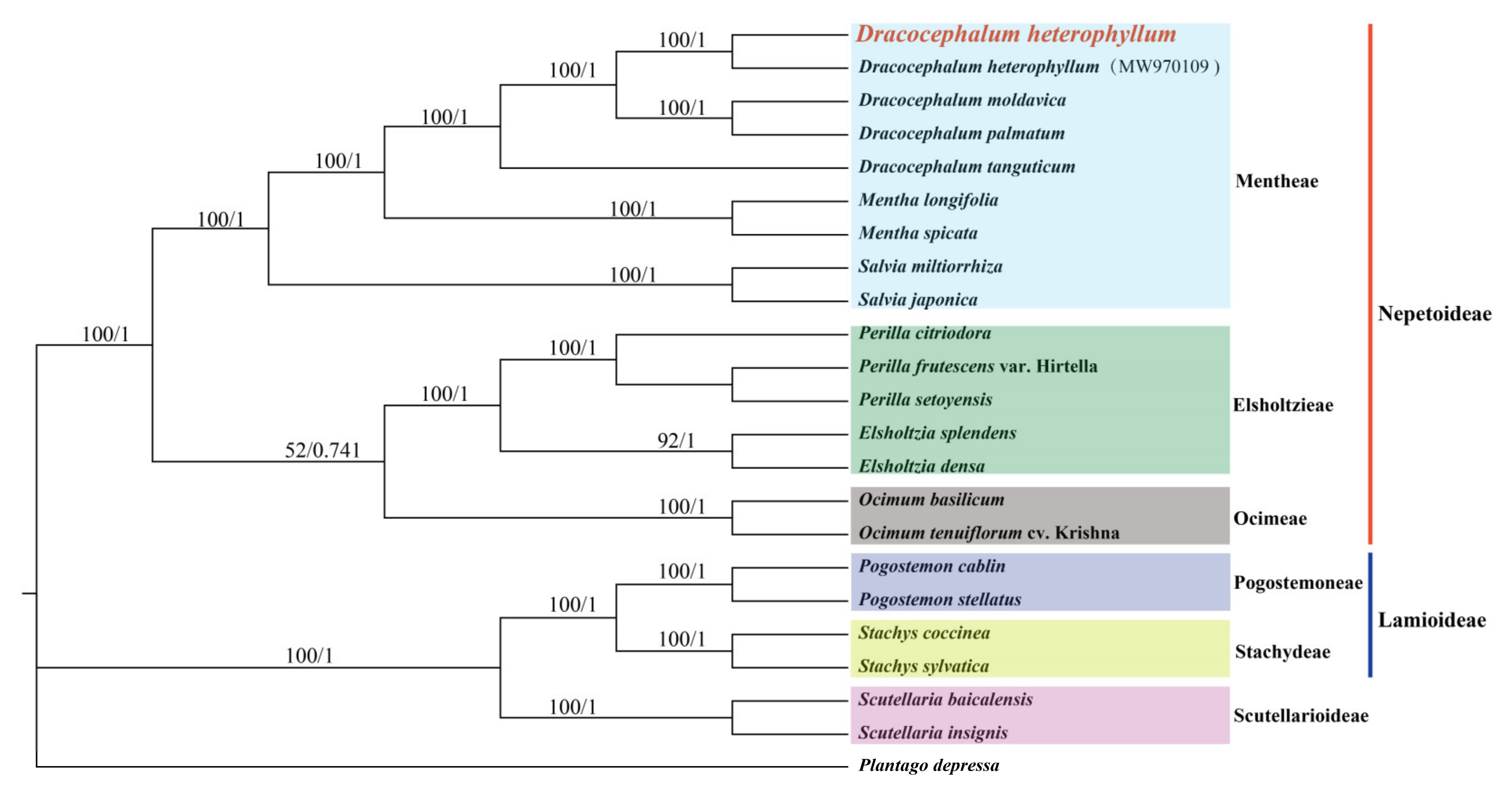 Diversity 14 00110 g009