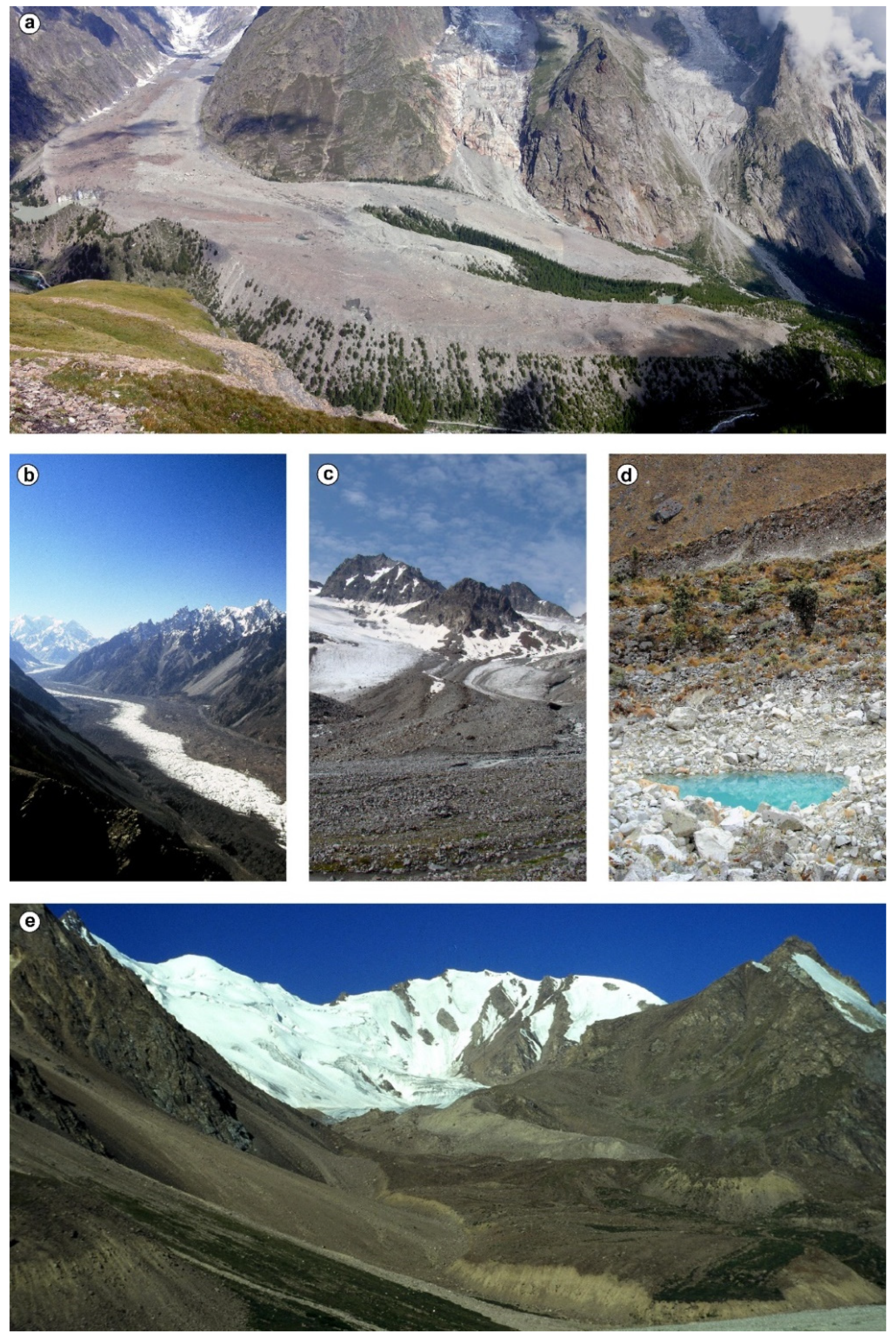 Diversity | Free Full-Text | Vegetation Ecology of Debris-Covered