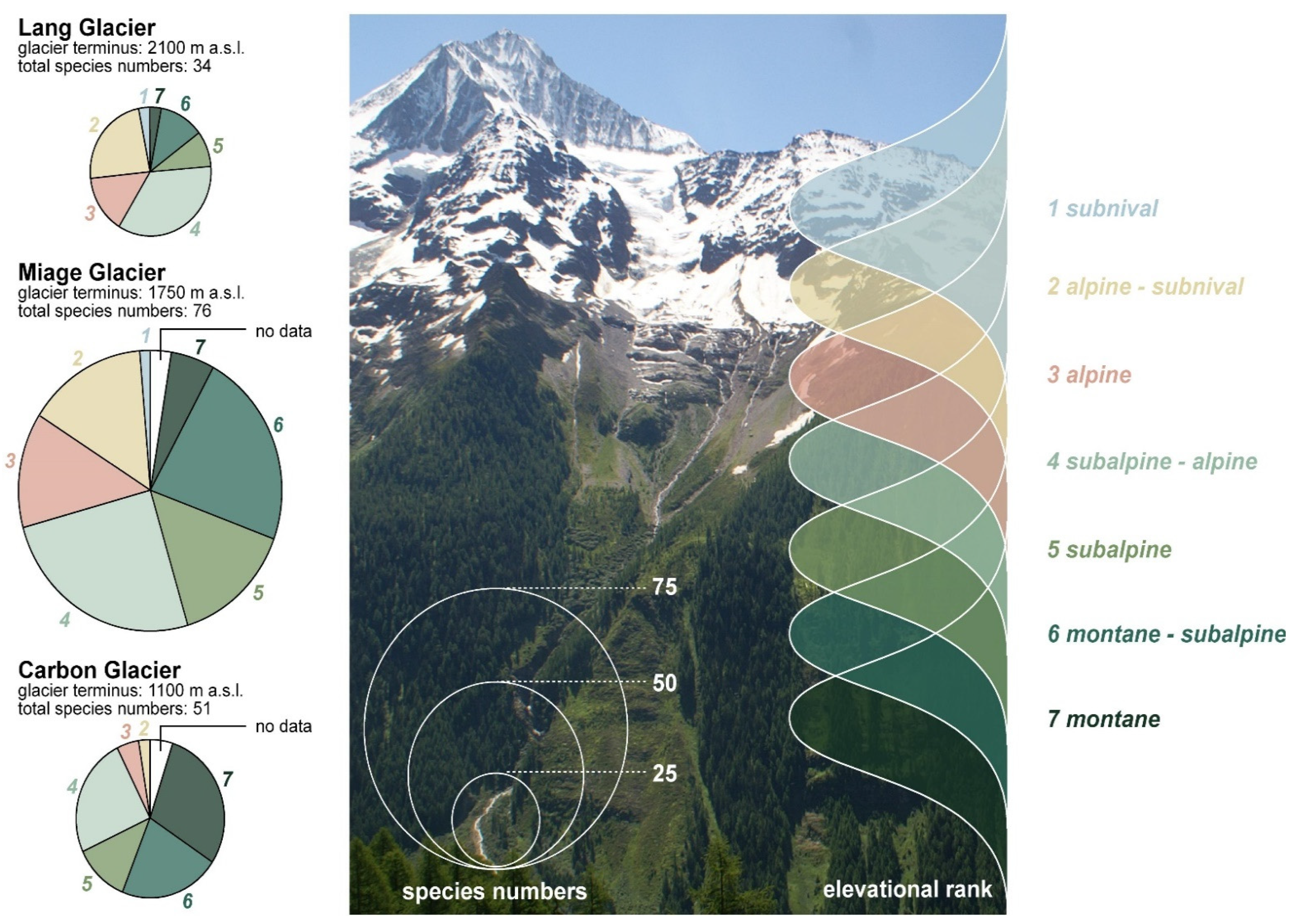 Diversity 14 00114 g008