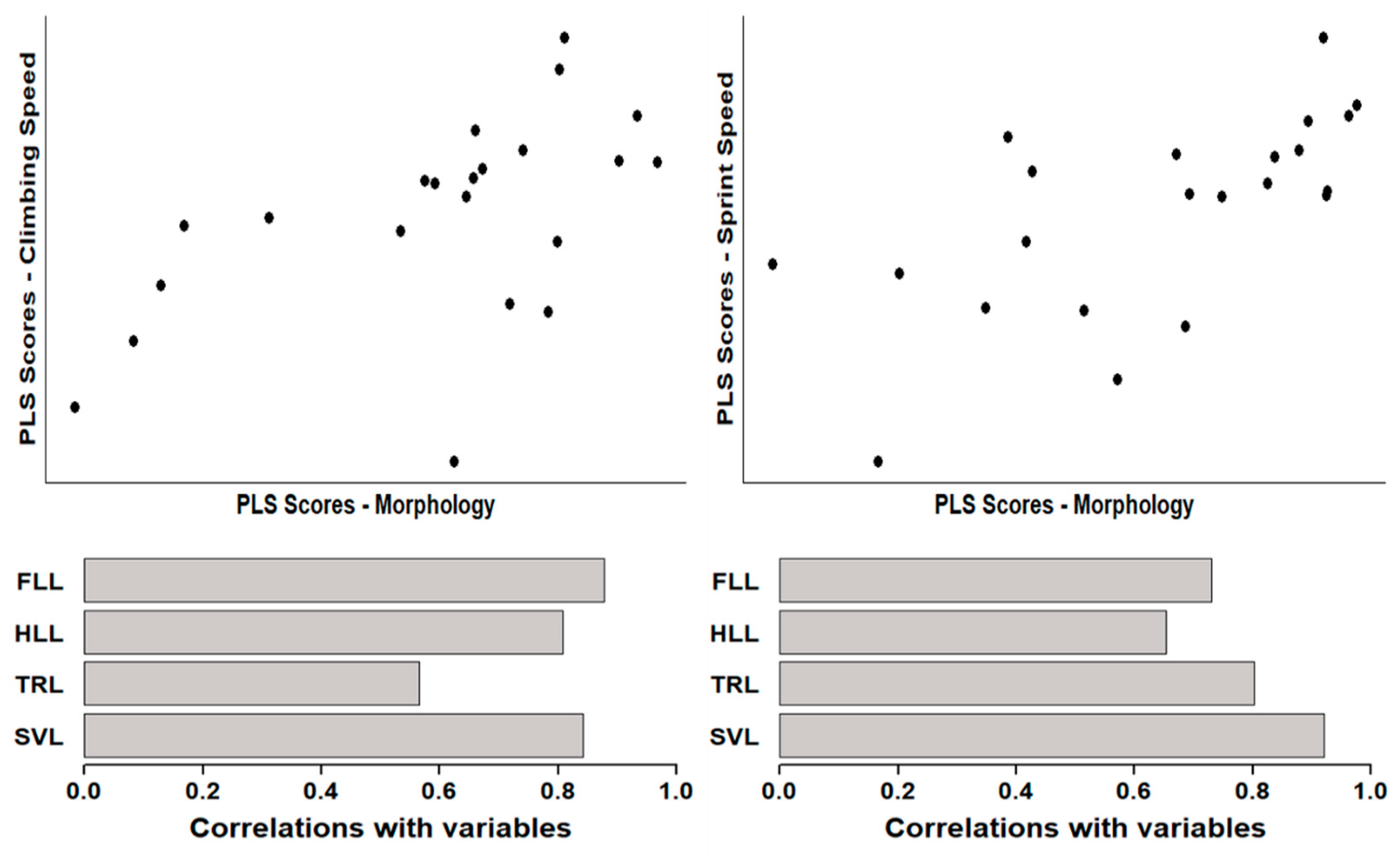Diversity 14 00116 g004 Diversity 14 00116 g004