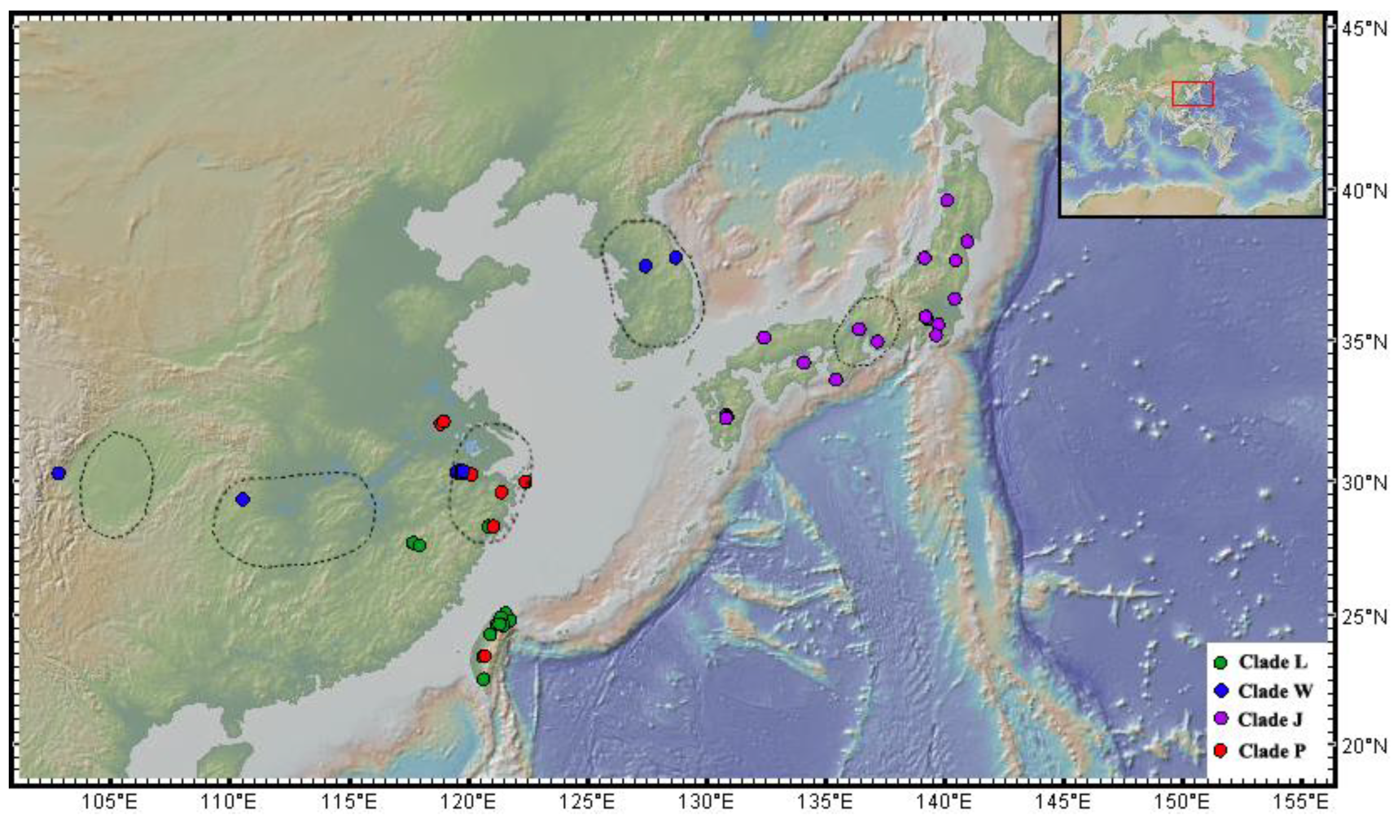 Diversity 14 00120 g001