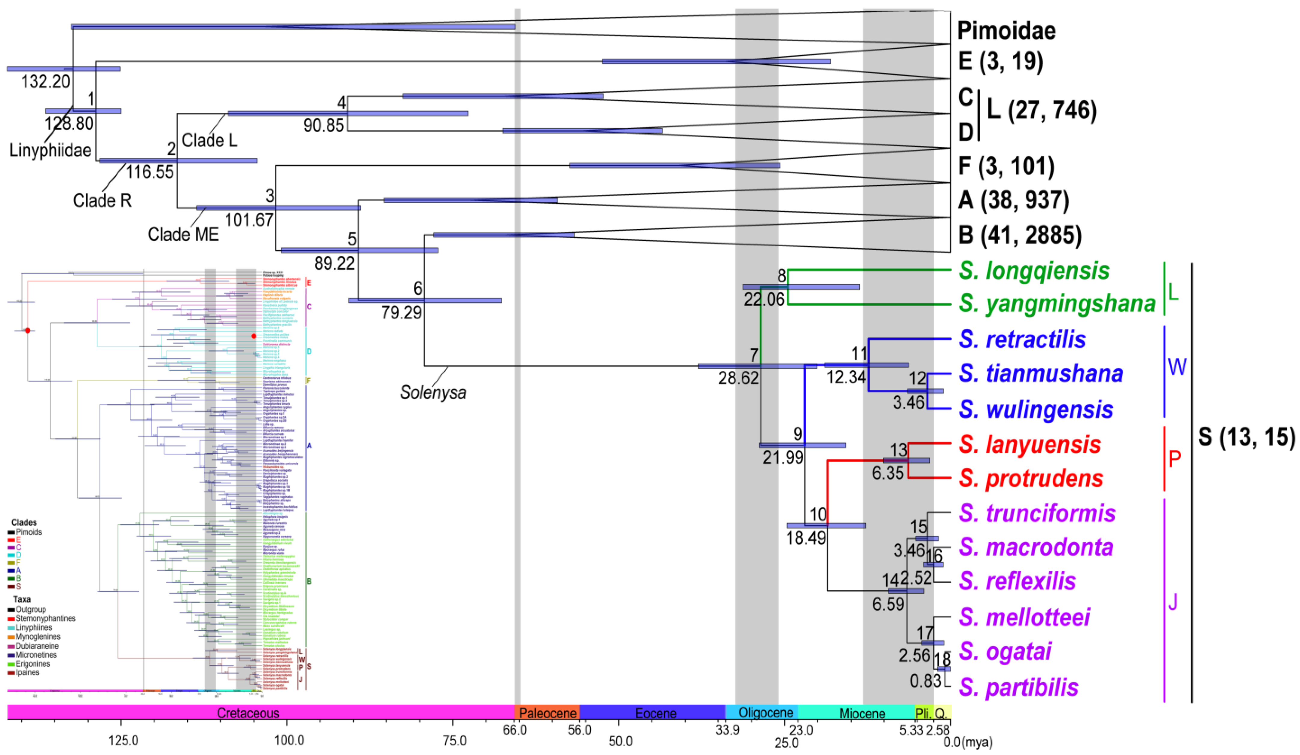 Diversity 14 00120 g003