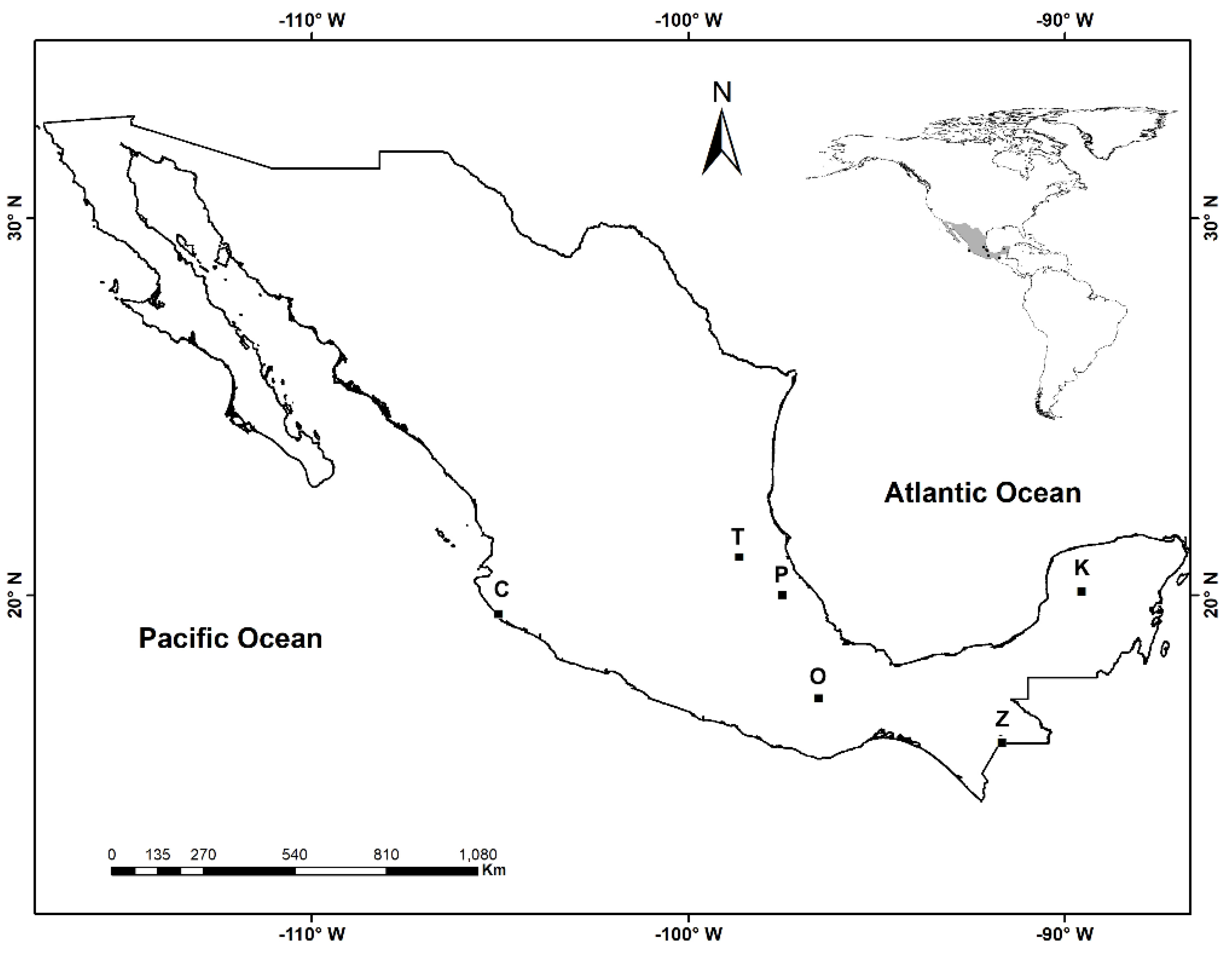 Diversity 14 00122 g001 Diversity 14 00122 g001