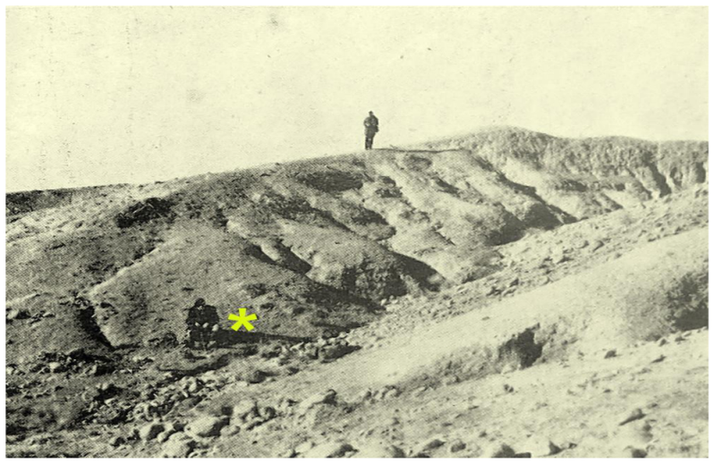 Diversity 14 00123 g002