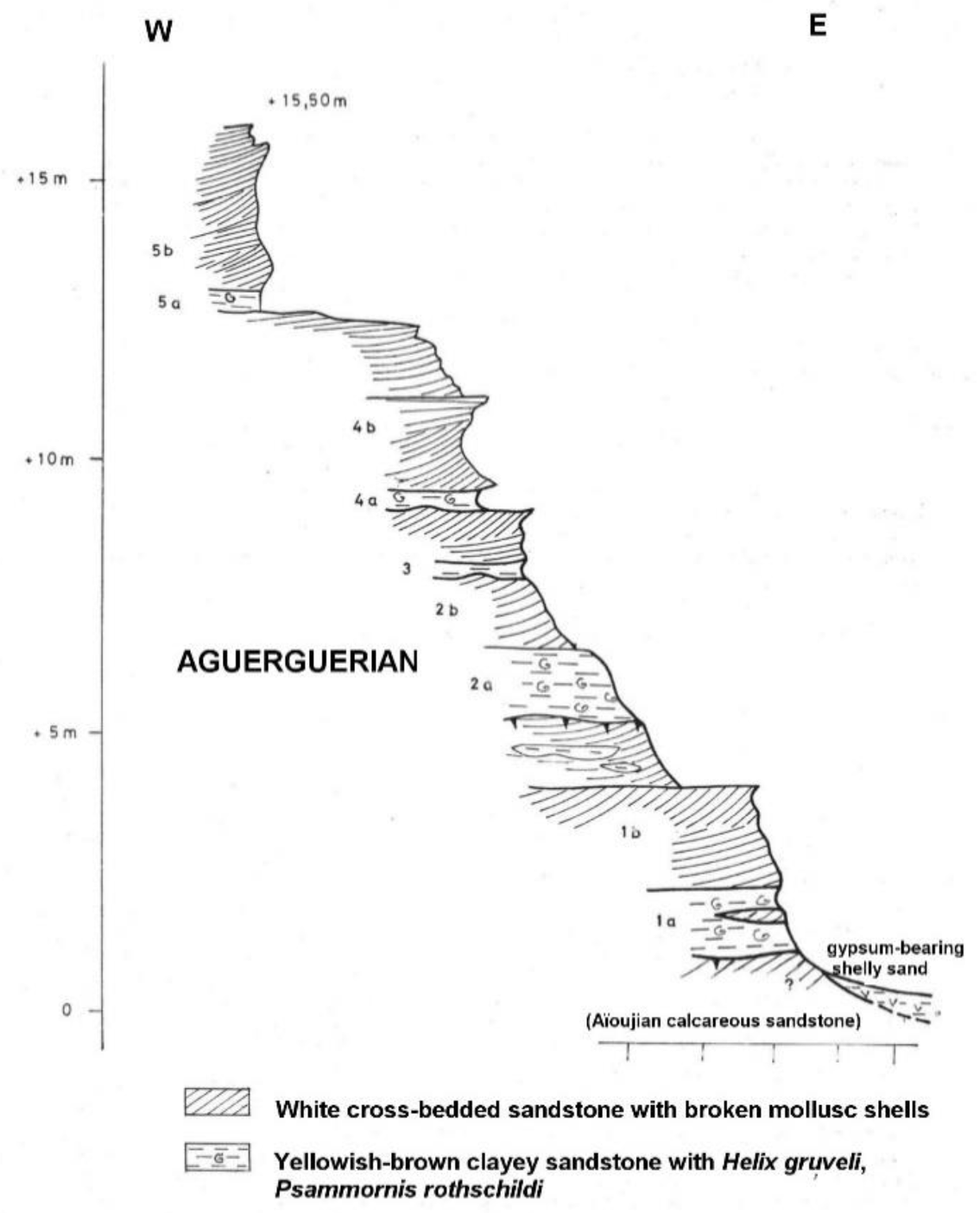 Diversity 14 00123 g005