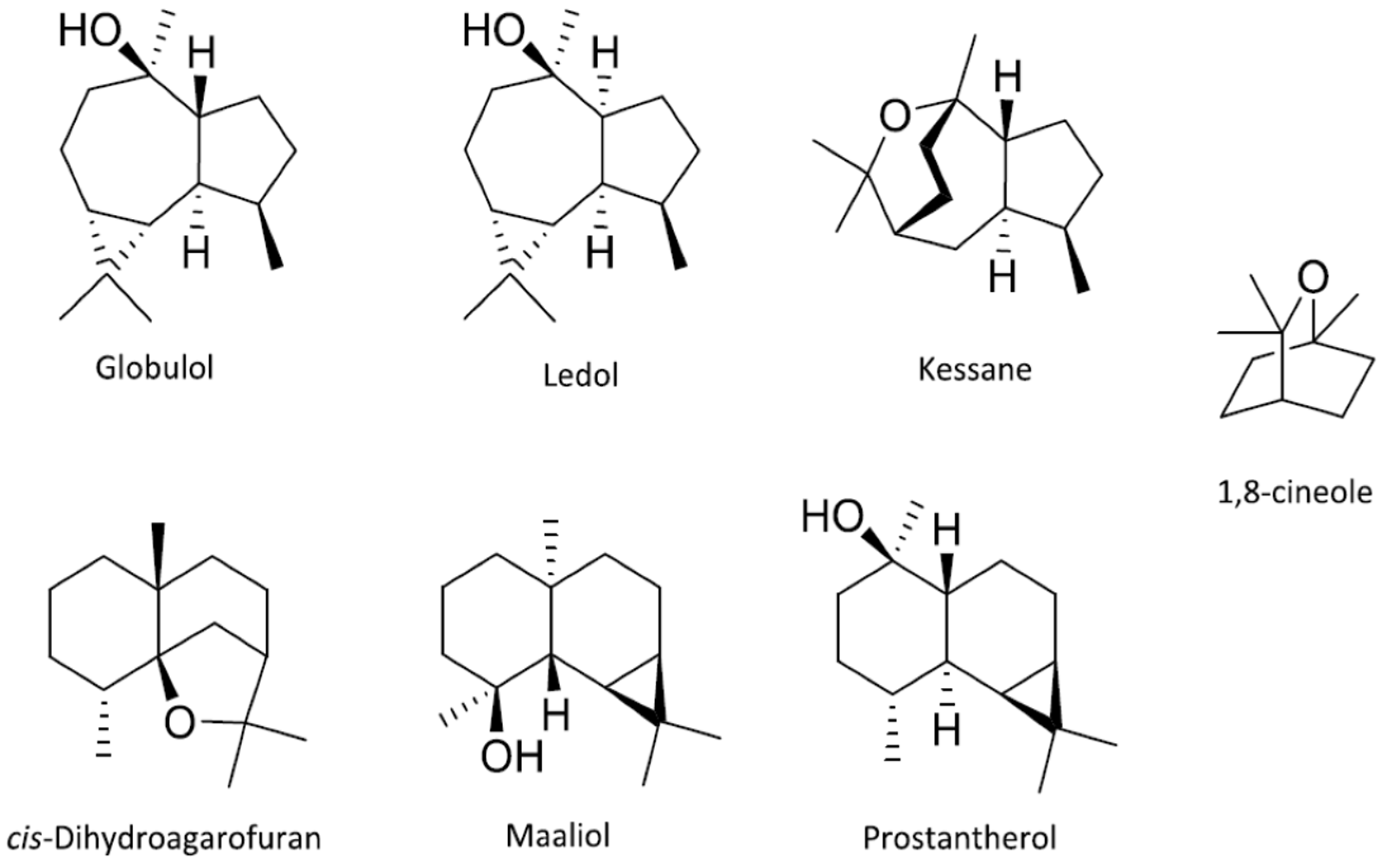 Diversity 14 00124 g001