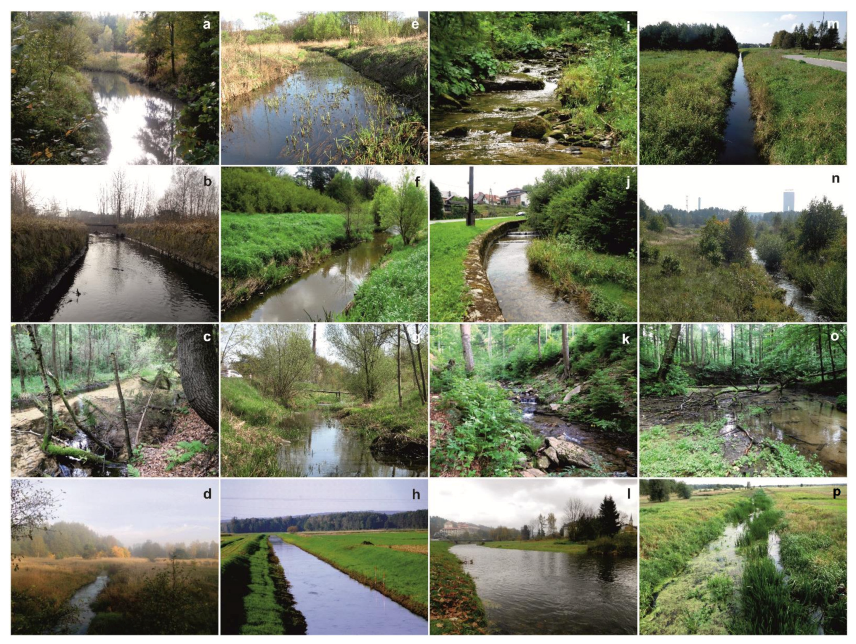 Diversity 14 00127 g001 550