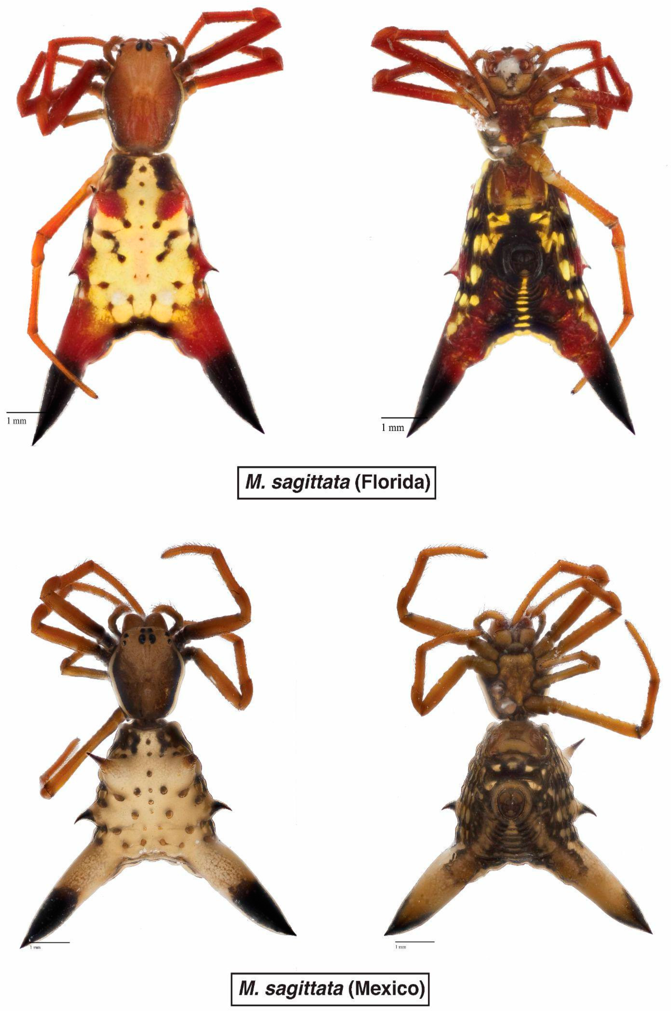 Diversity 14 00128 g006 550