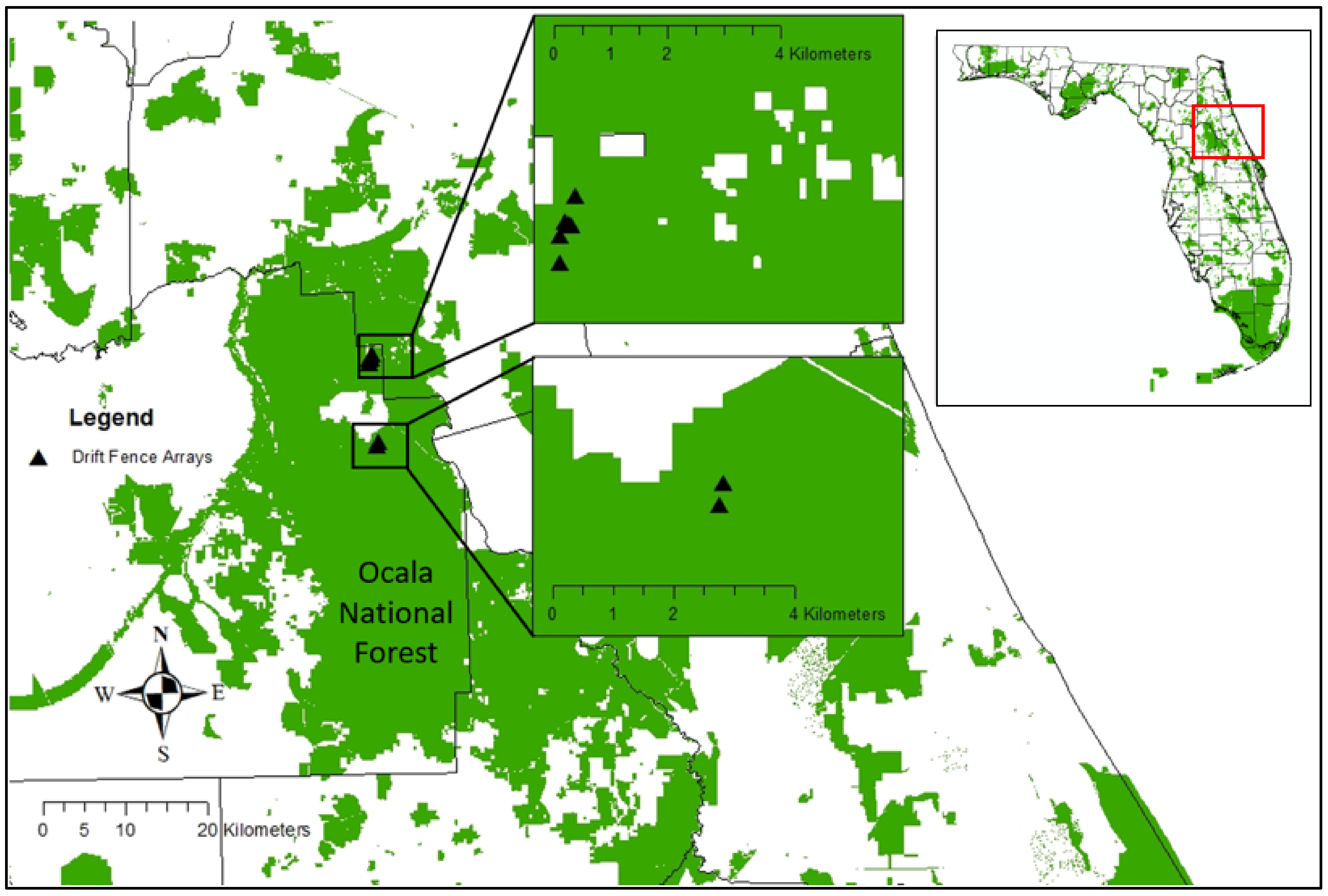 Diversity 14 00129 g002 Diversity 14 00129 g002