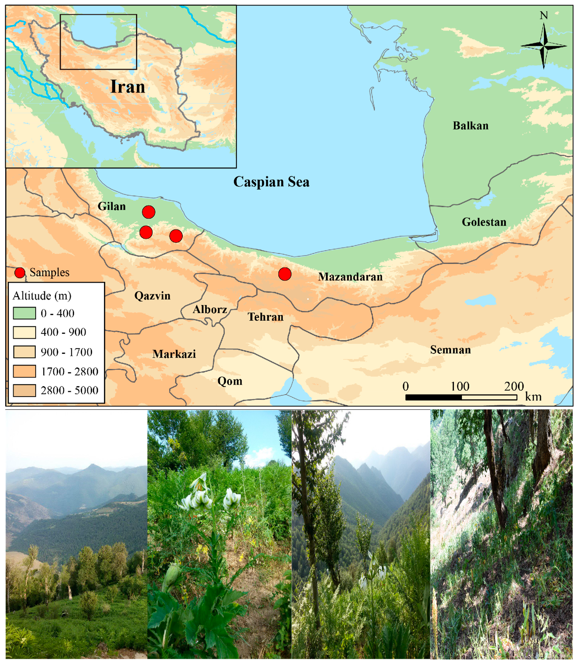 Diversity 14 00137 g001