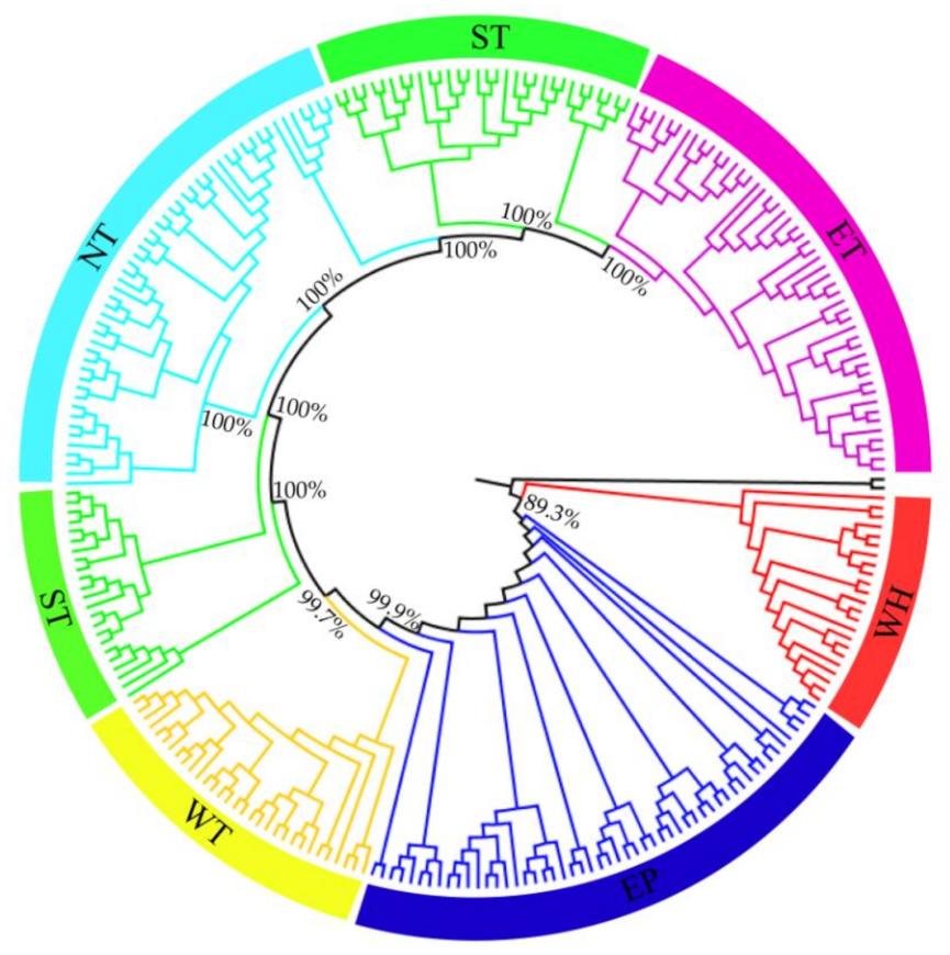 Diversity 14 00146 g004