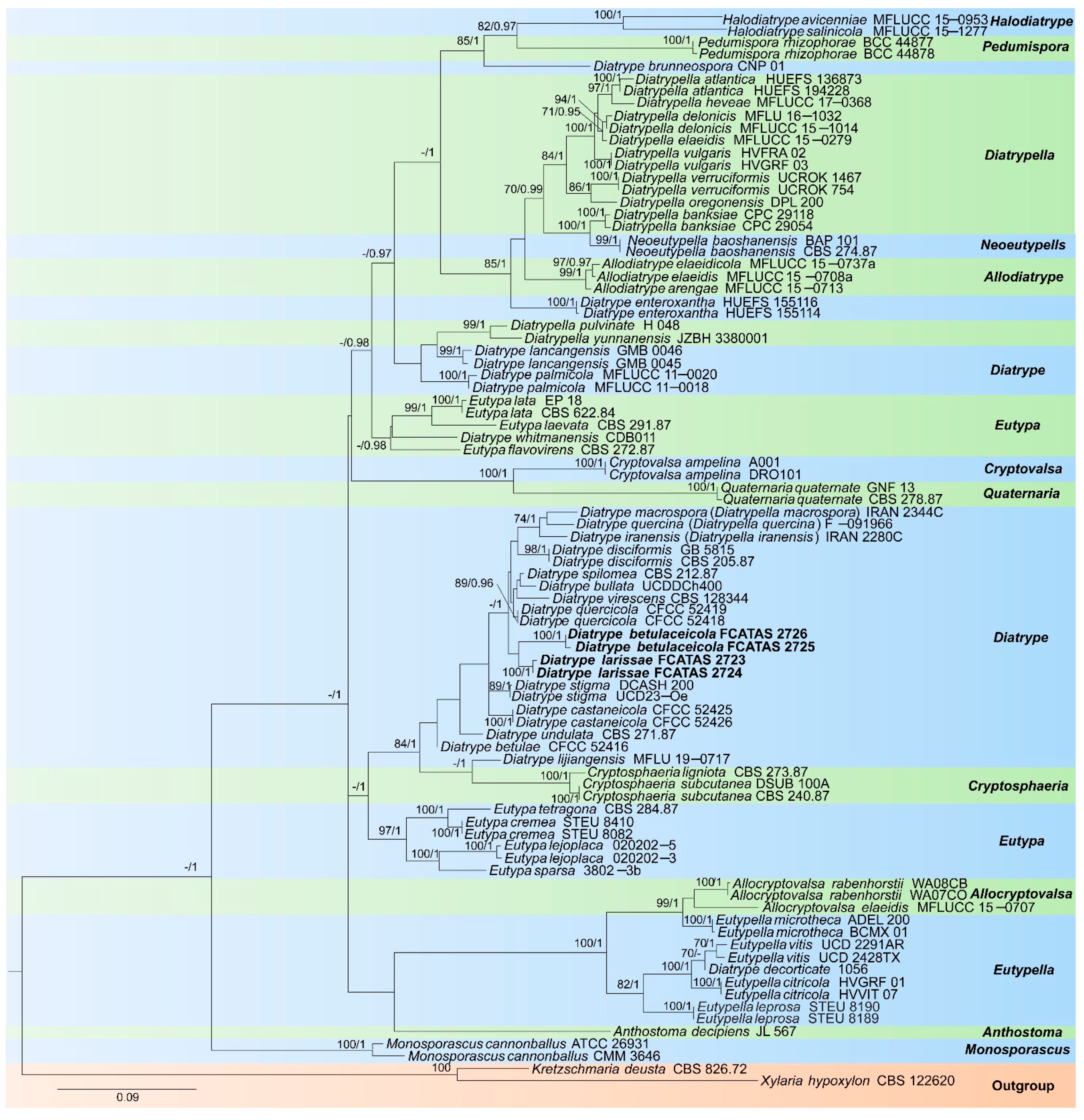 Diversity 14 00149 g001