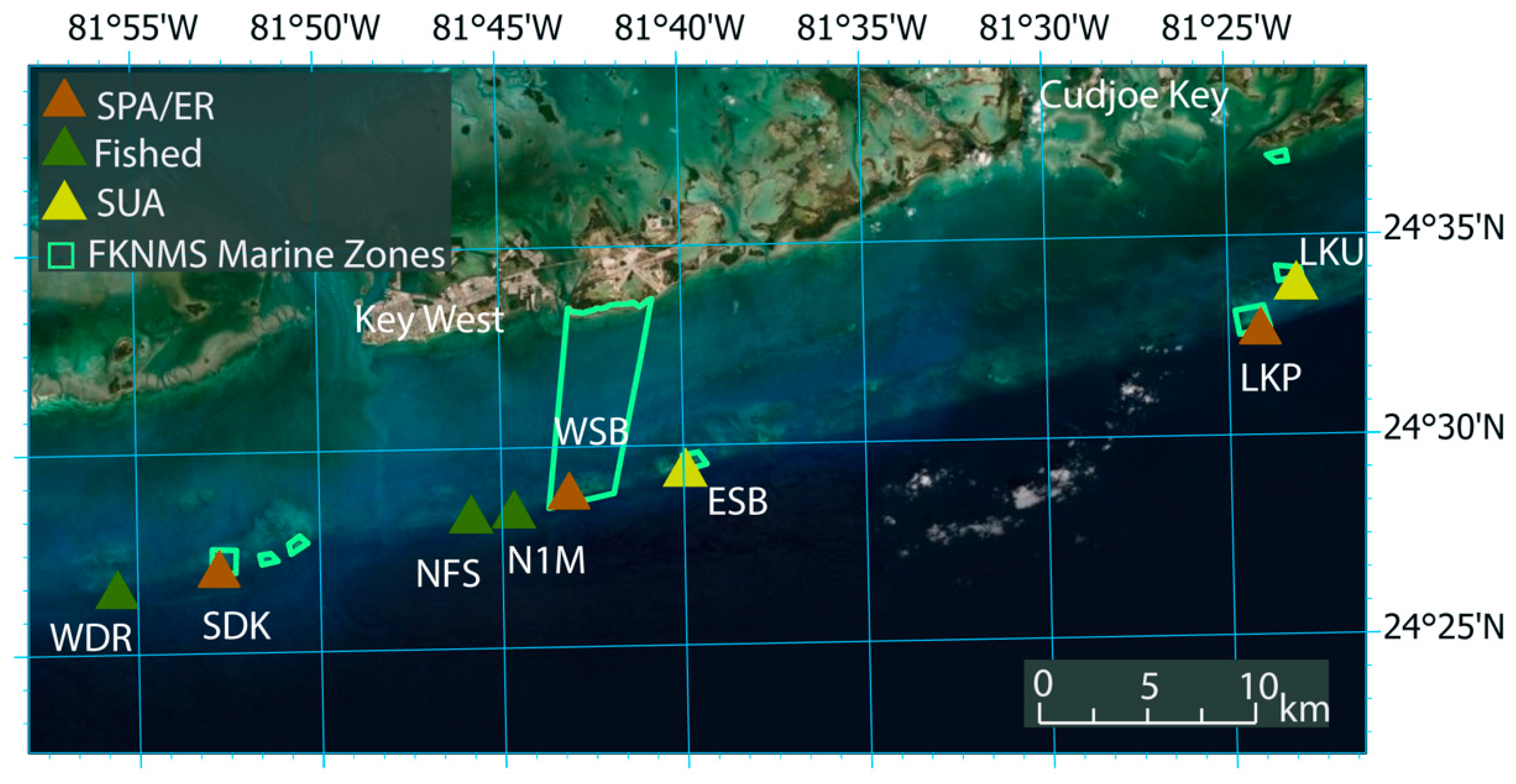 Diversity 14 00153 g001