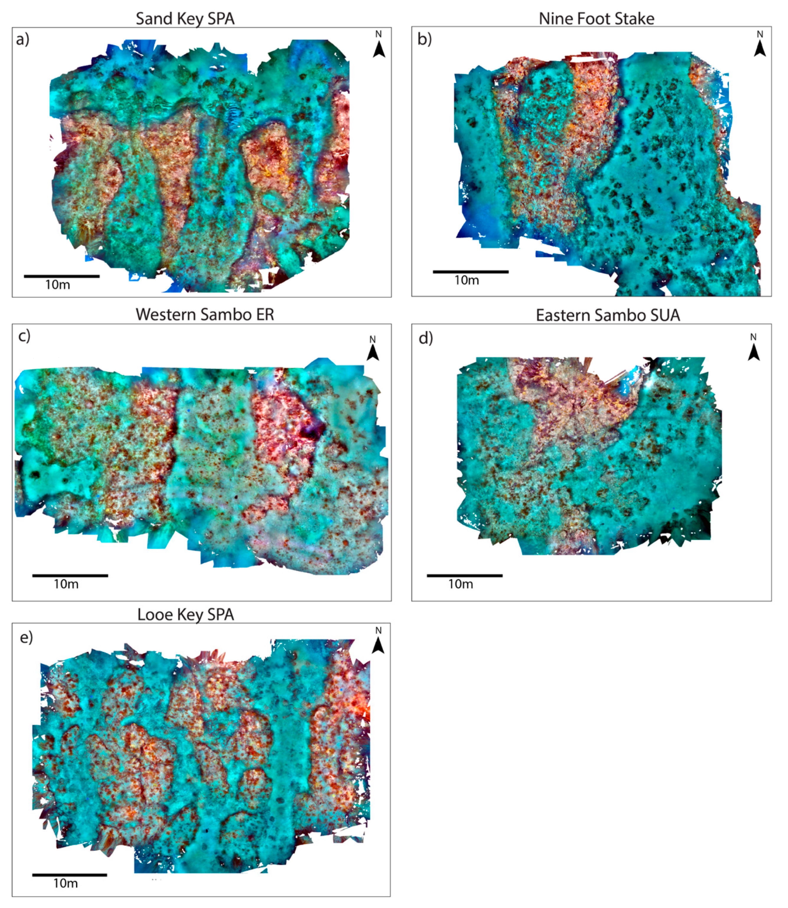 Diversity 14 00153 g002