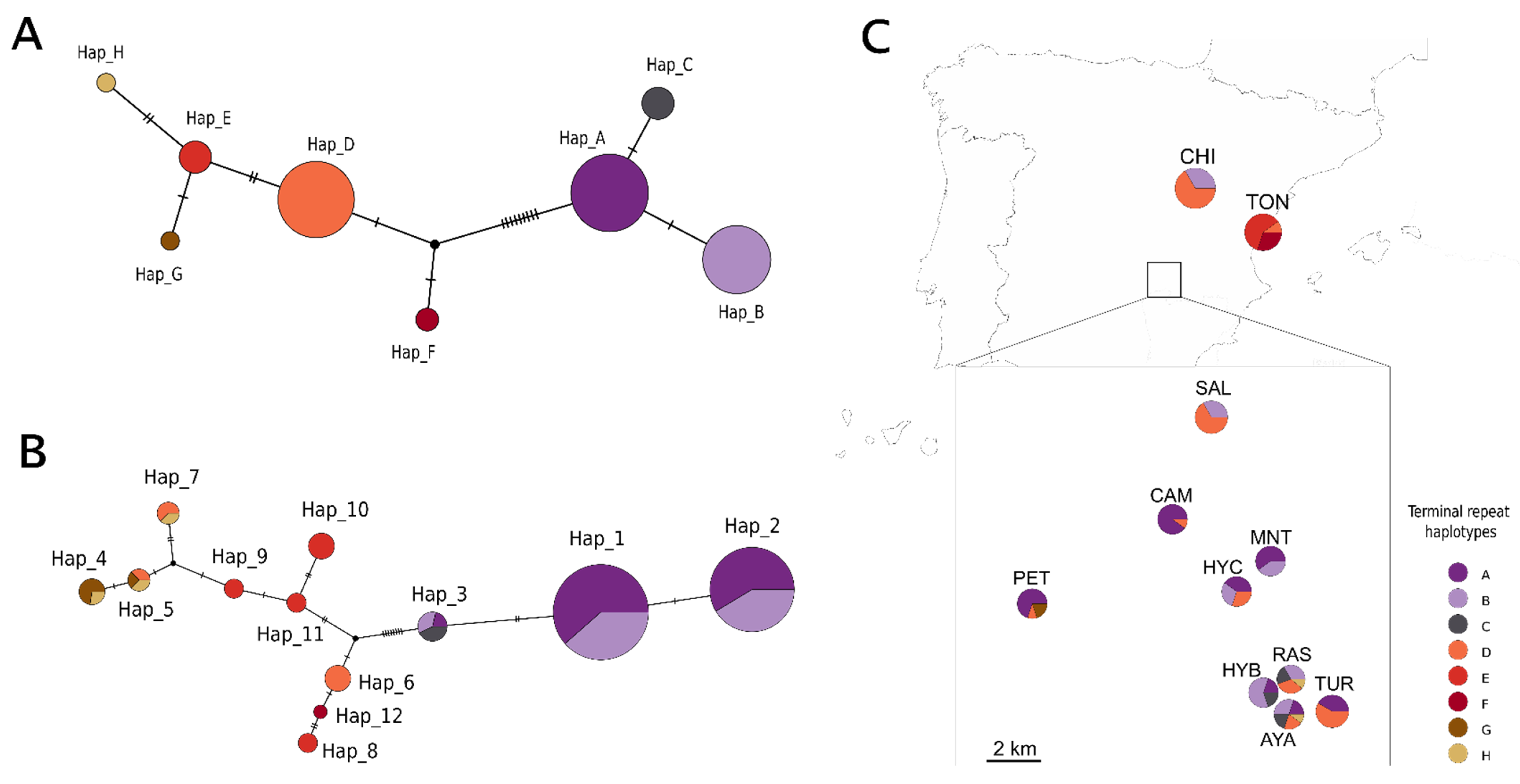 Diversity 14 00155 g003 550