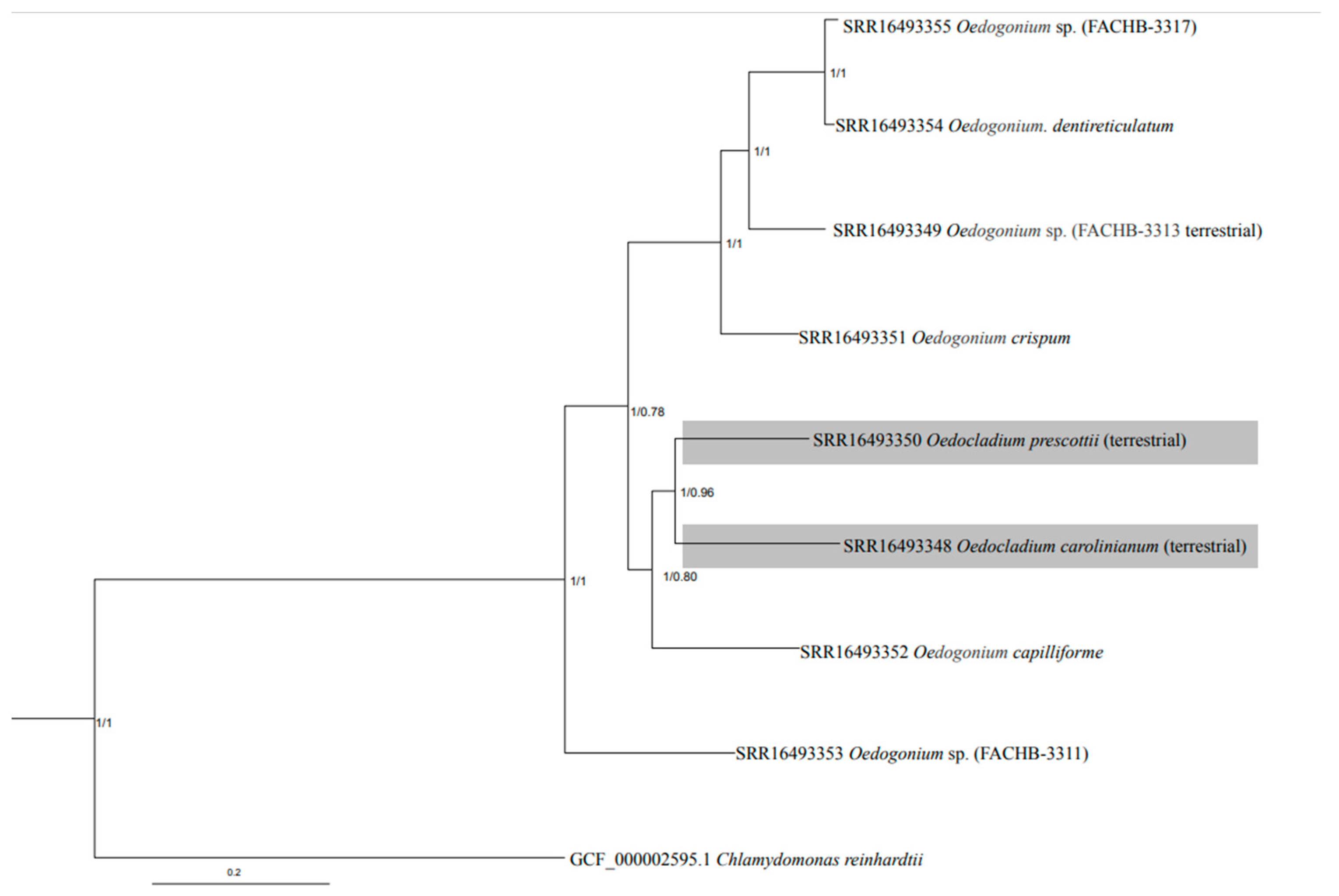 Diversity 14 00157 g001 Diversity 14 00157 g001