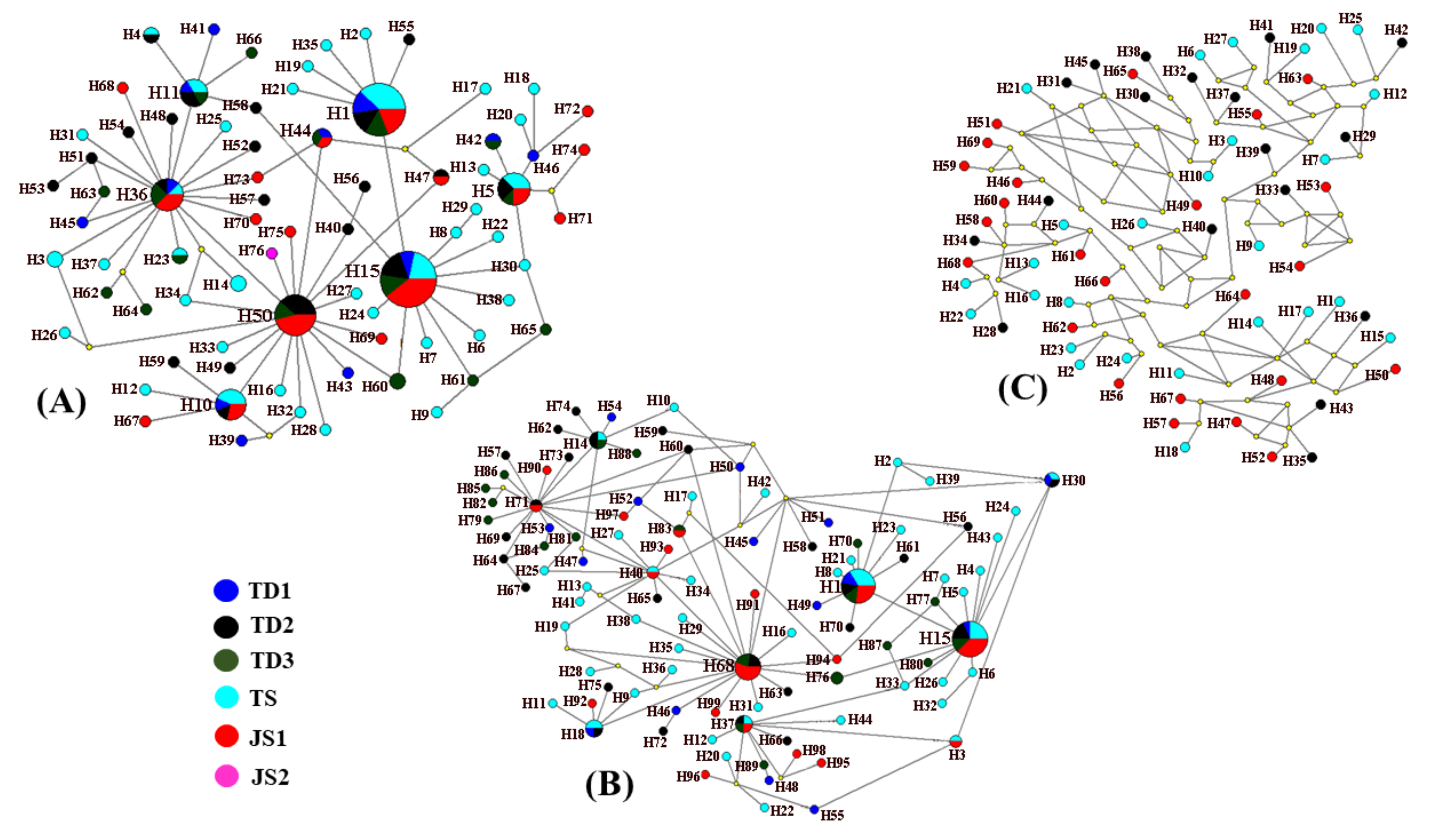 Diversity 14 00162 g002
