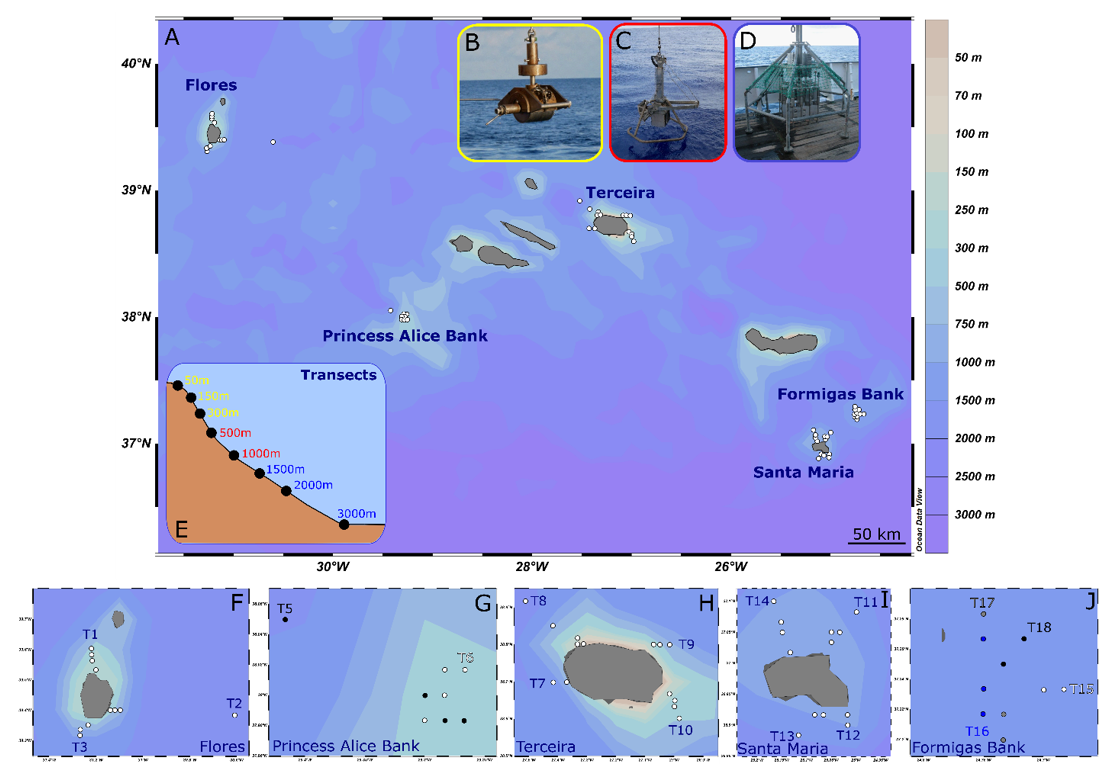 Diversity 14 00164 g001 Diversity 14 00164 g001