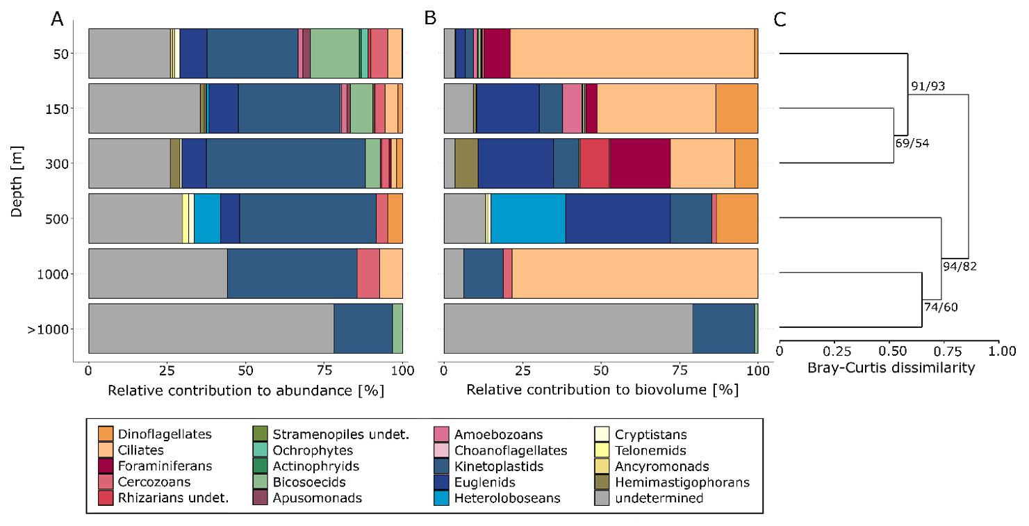 Diversity 14 00164 g003 Diversity 14 00164 g003