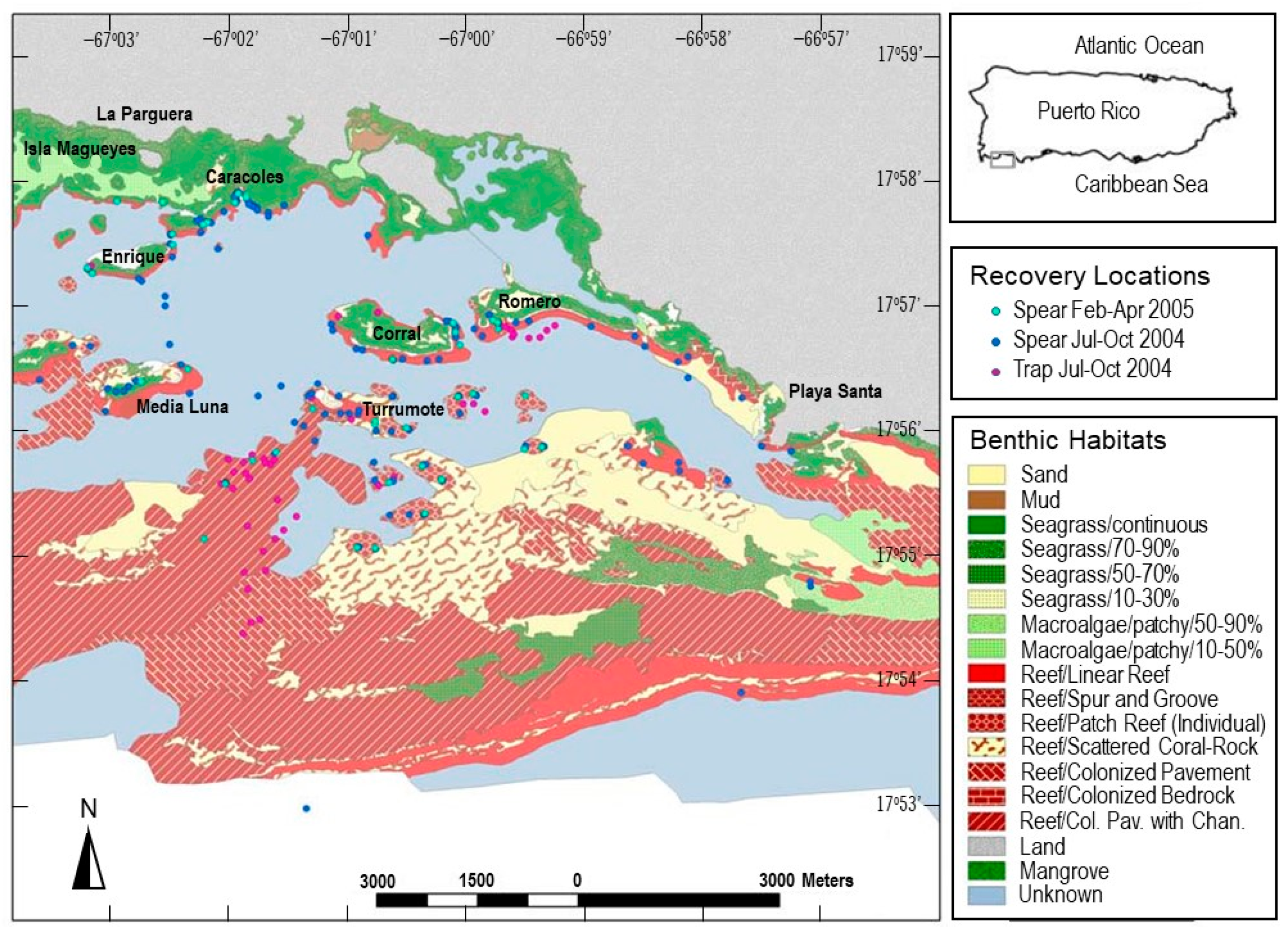 Diversity 14 00168 g001