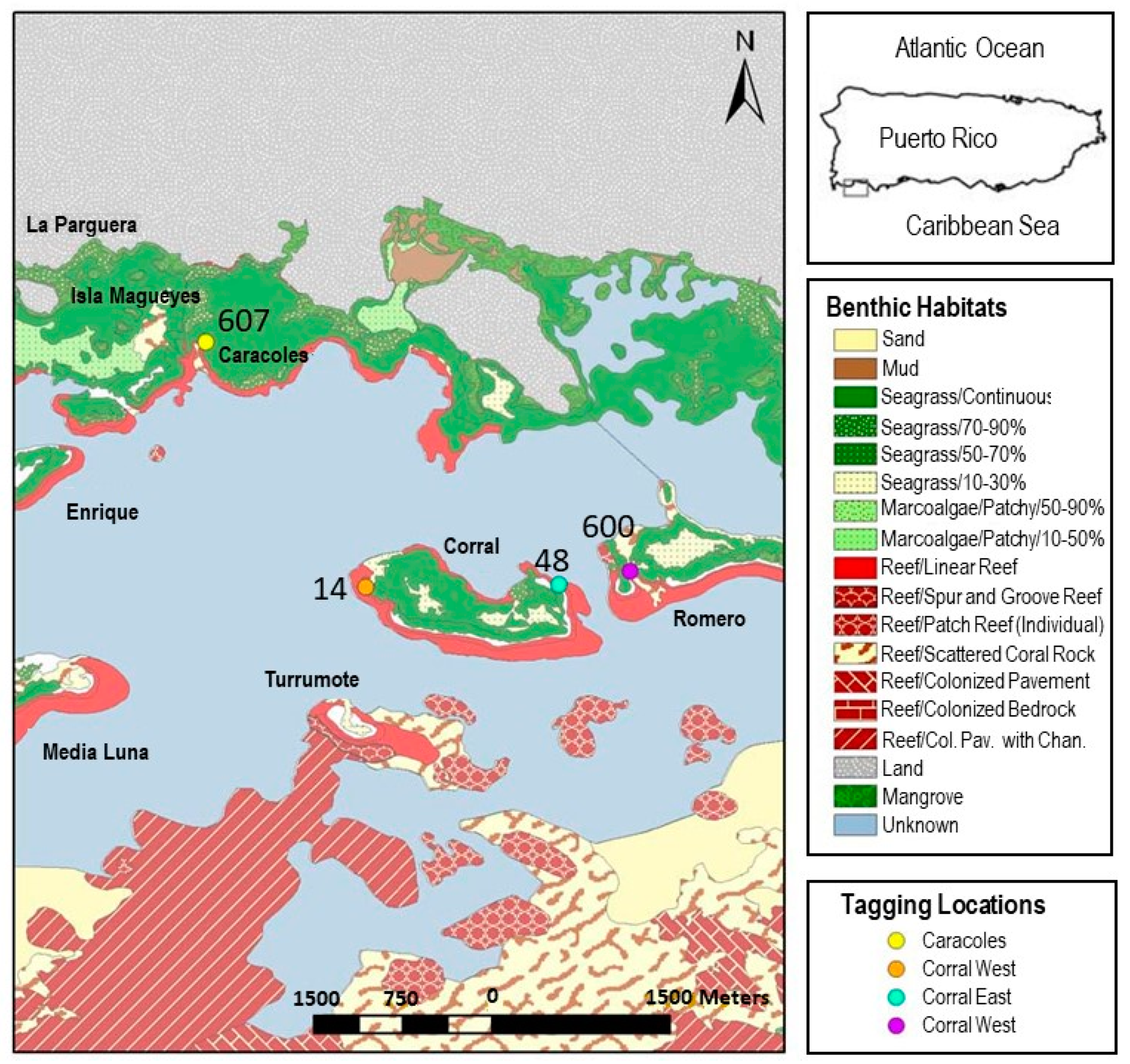 Diversity 14 00168 g002