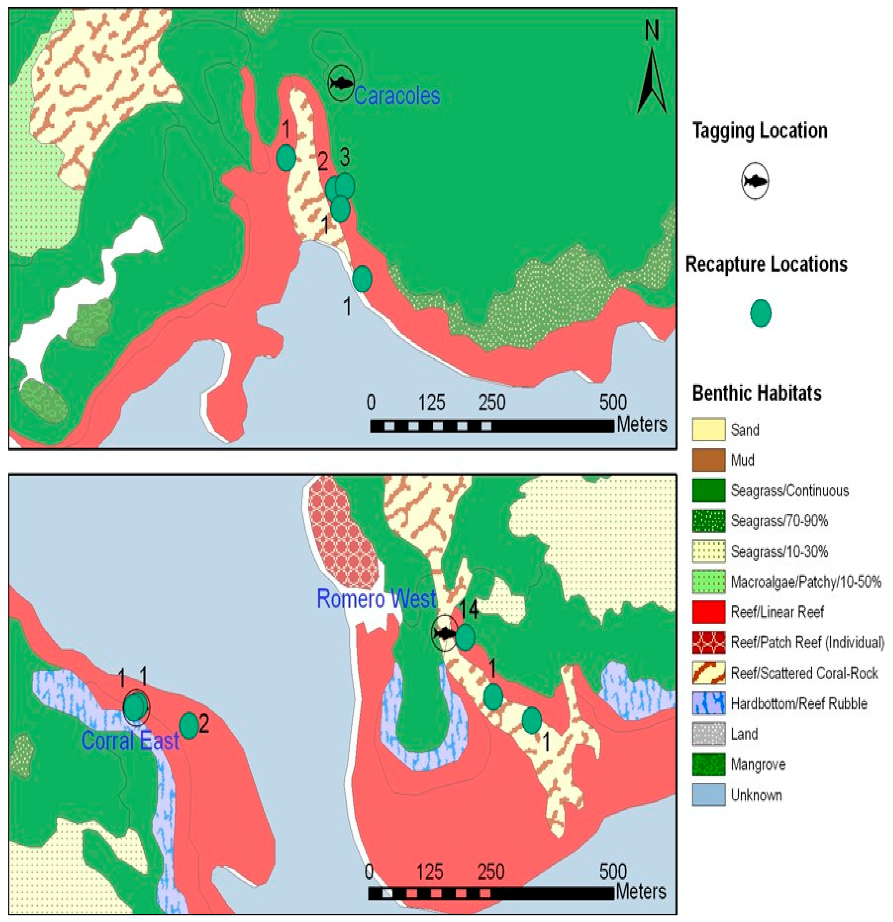 Diversity 14 00168 g004