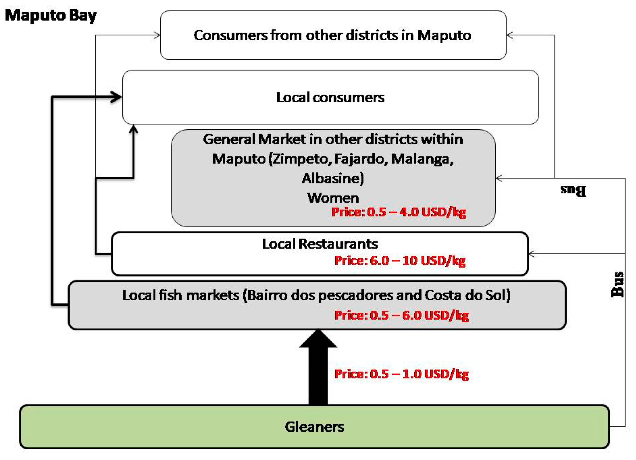 Diversity 14 00170 g003 550