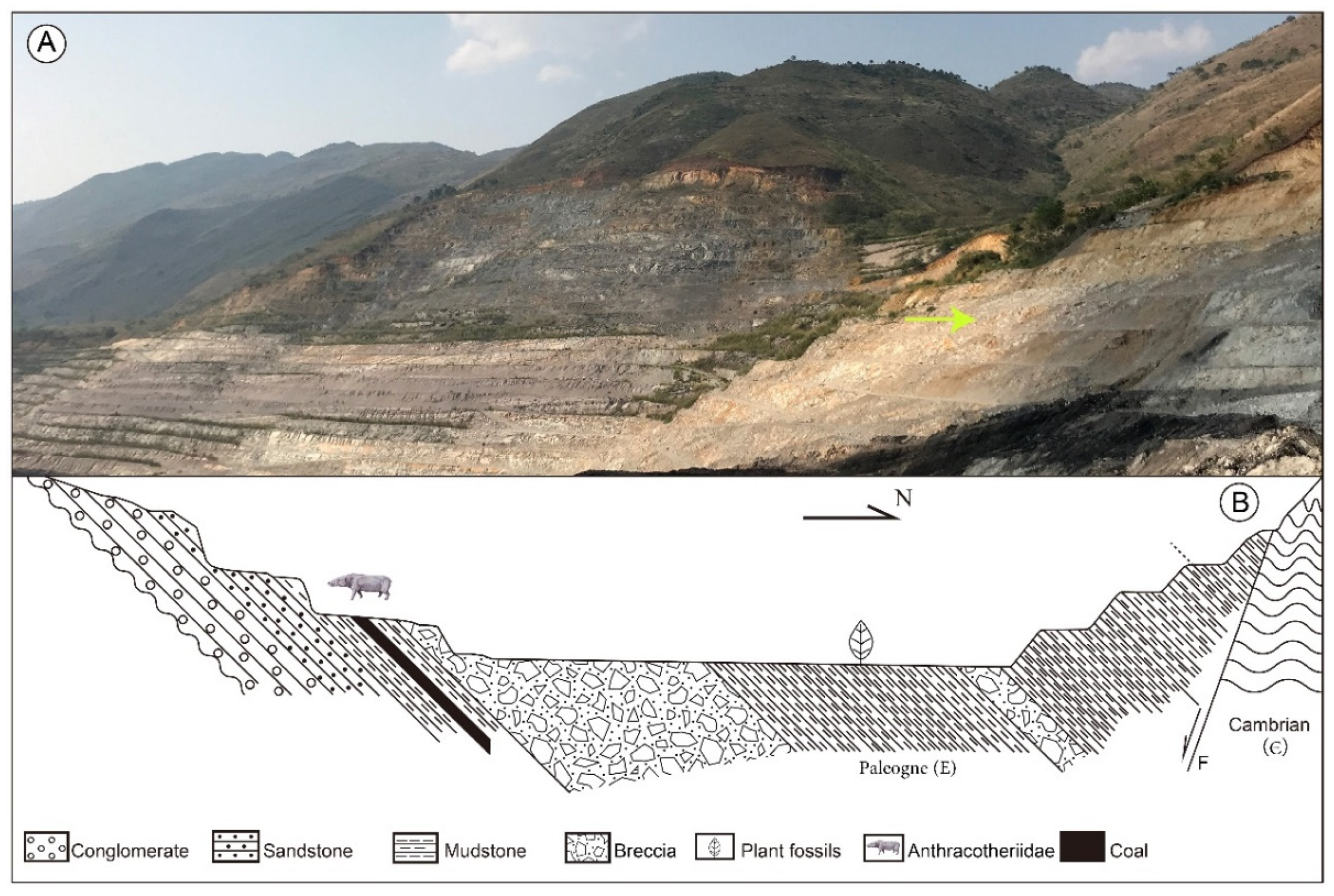 Diversity 14 00173 g003