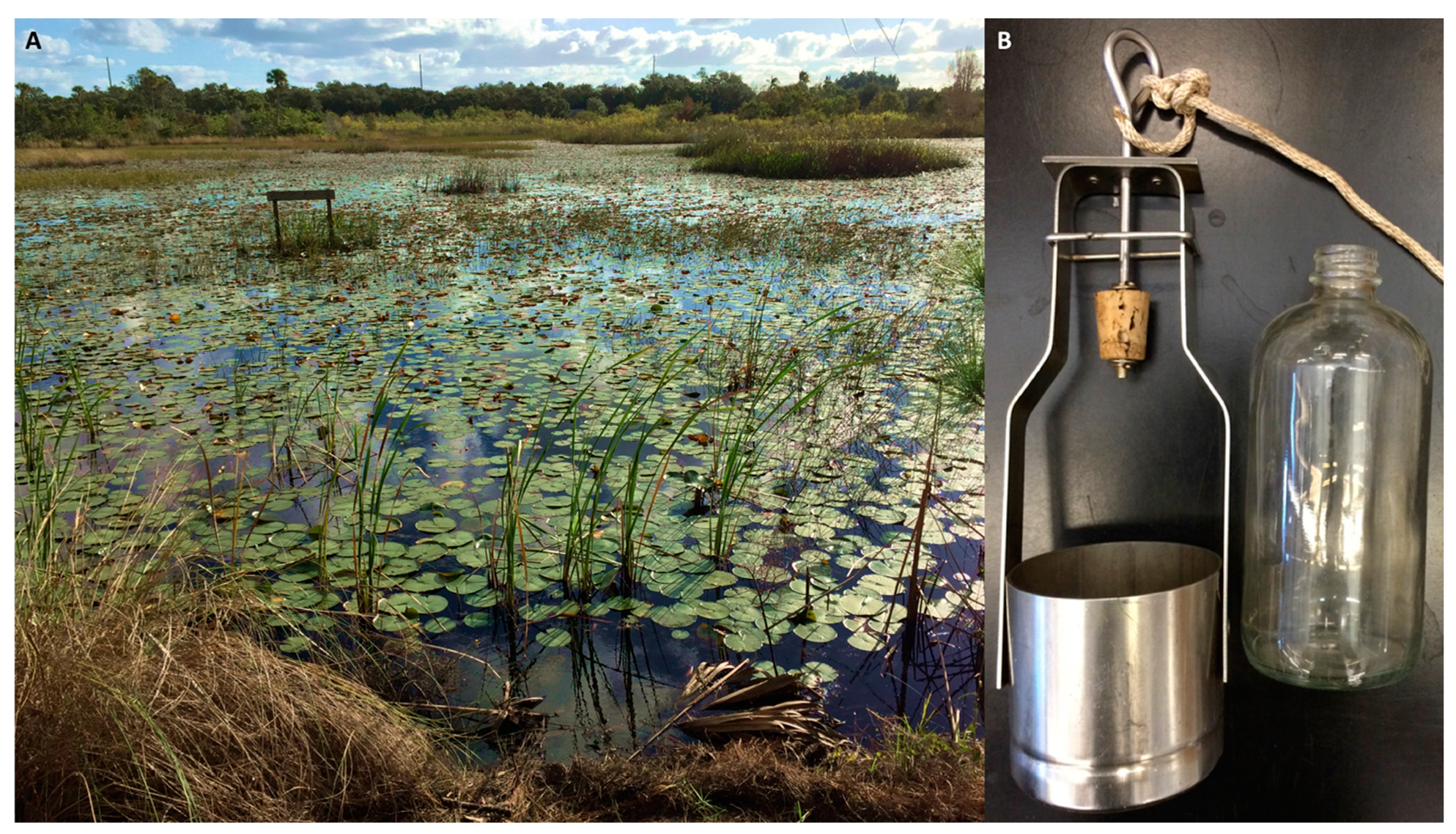 Diversity 14 00174 g001 550