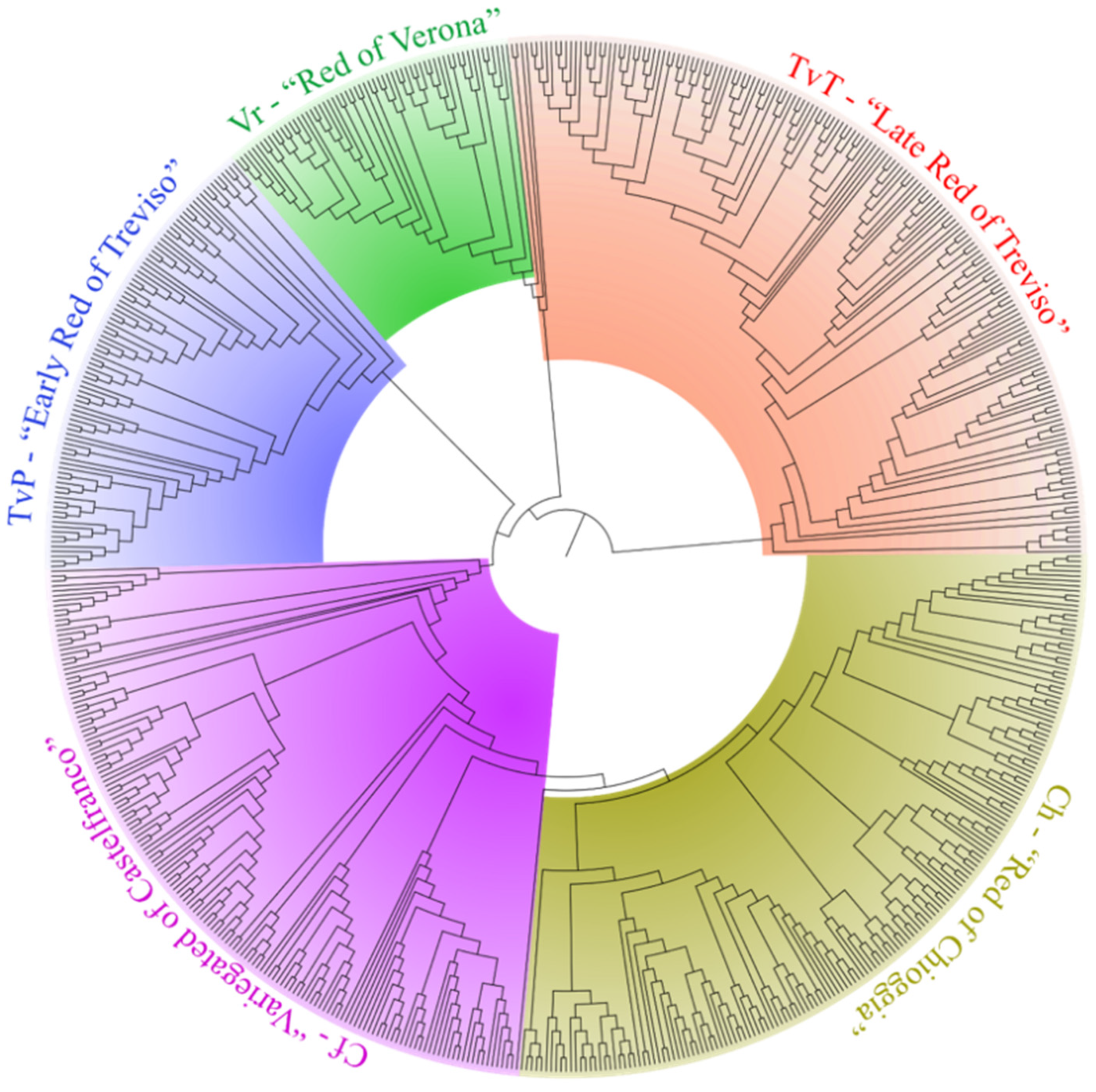 Diversity 14 00175 g001