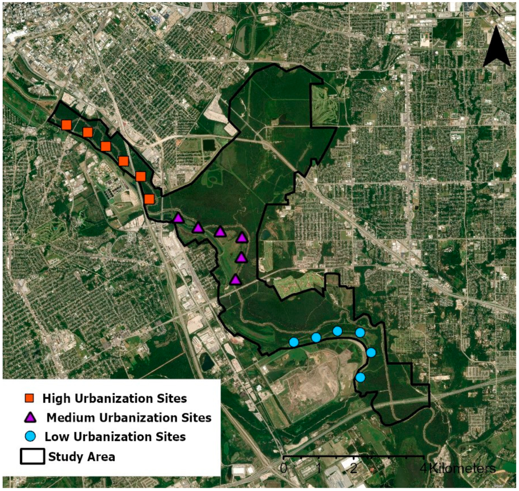 Diversity 14 00177 g001 550