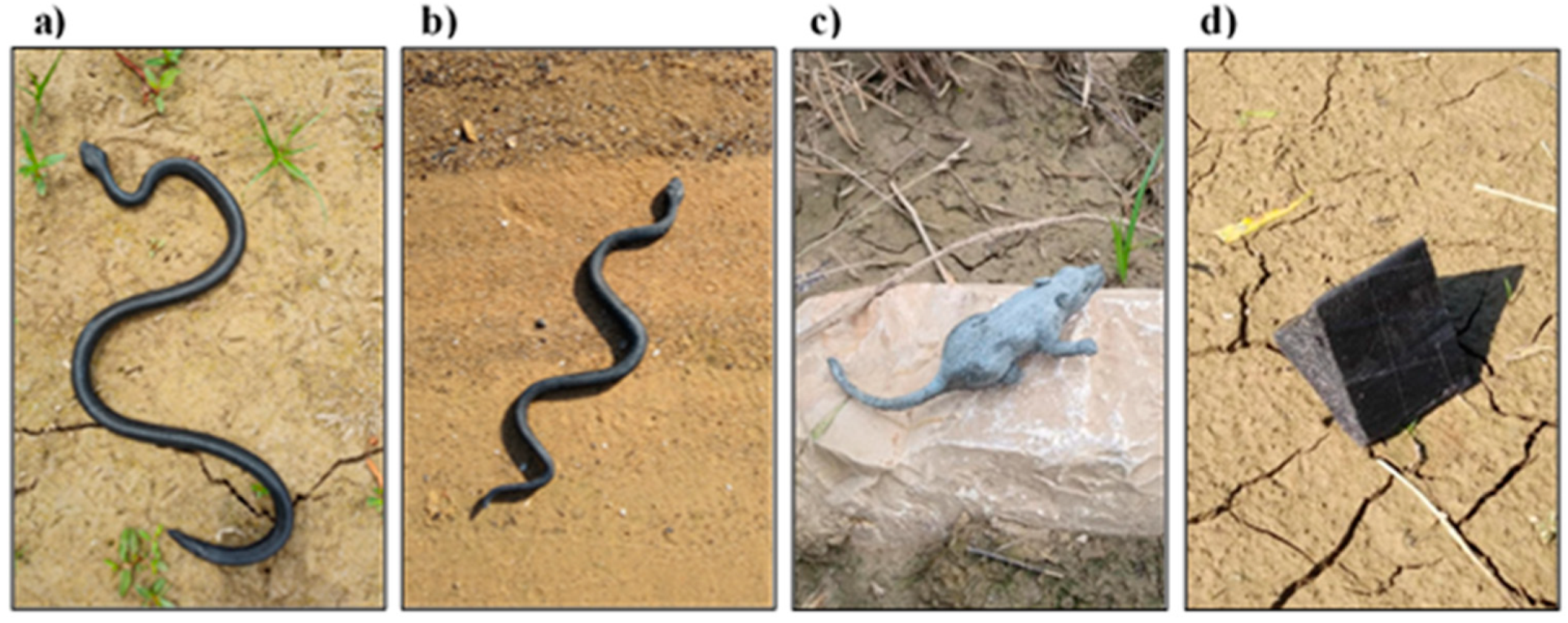 Diversity 14 00177 g002 550