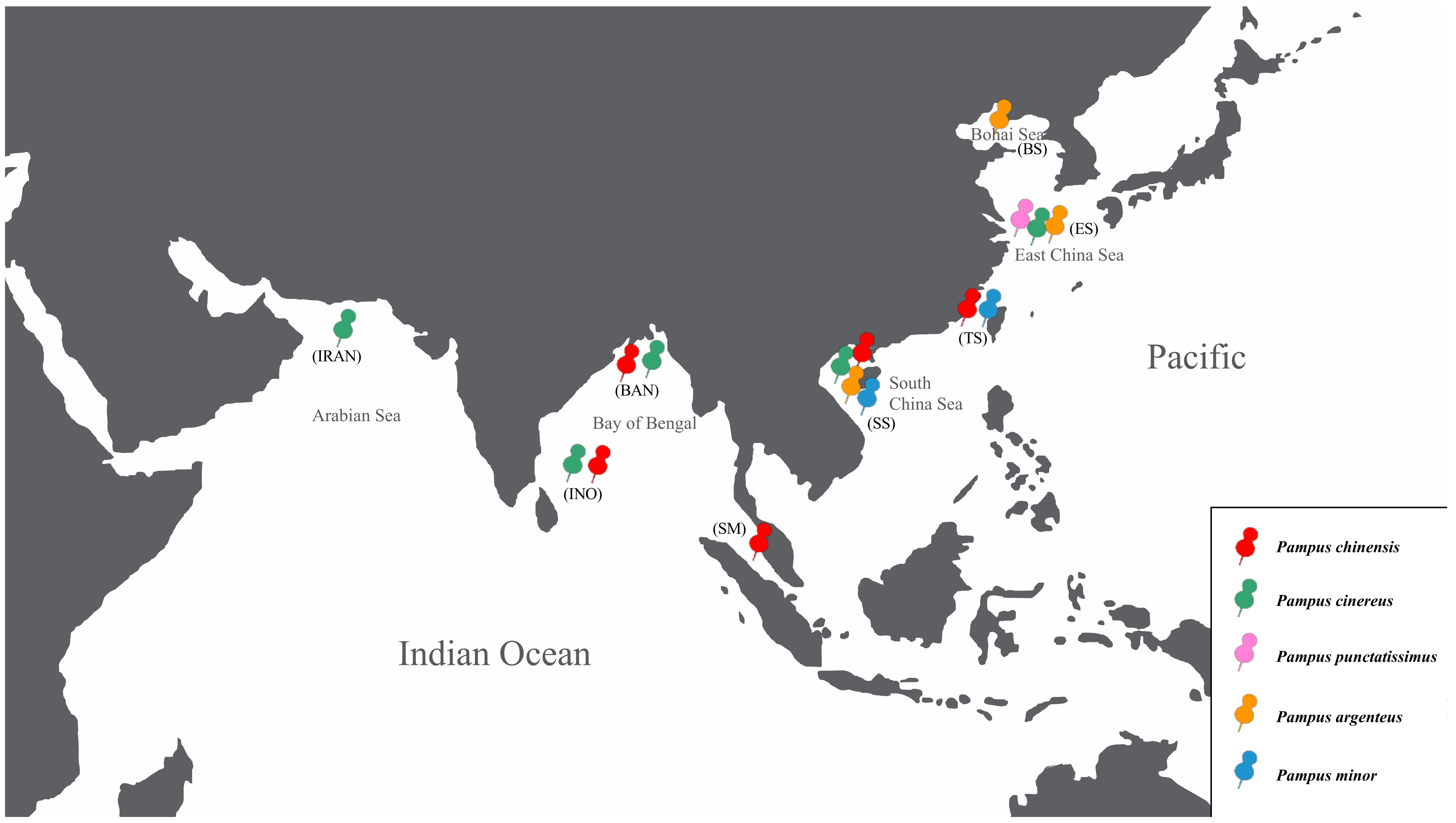 Diversity | Free Full-Text | Diversifying of Two Pampus Species Diversity | Free Full-Text | Diversifying of Two Pampus Species
