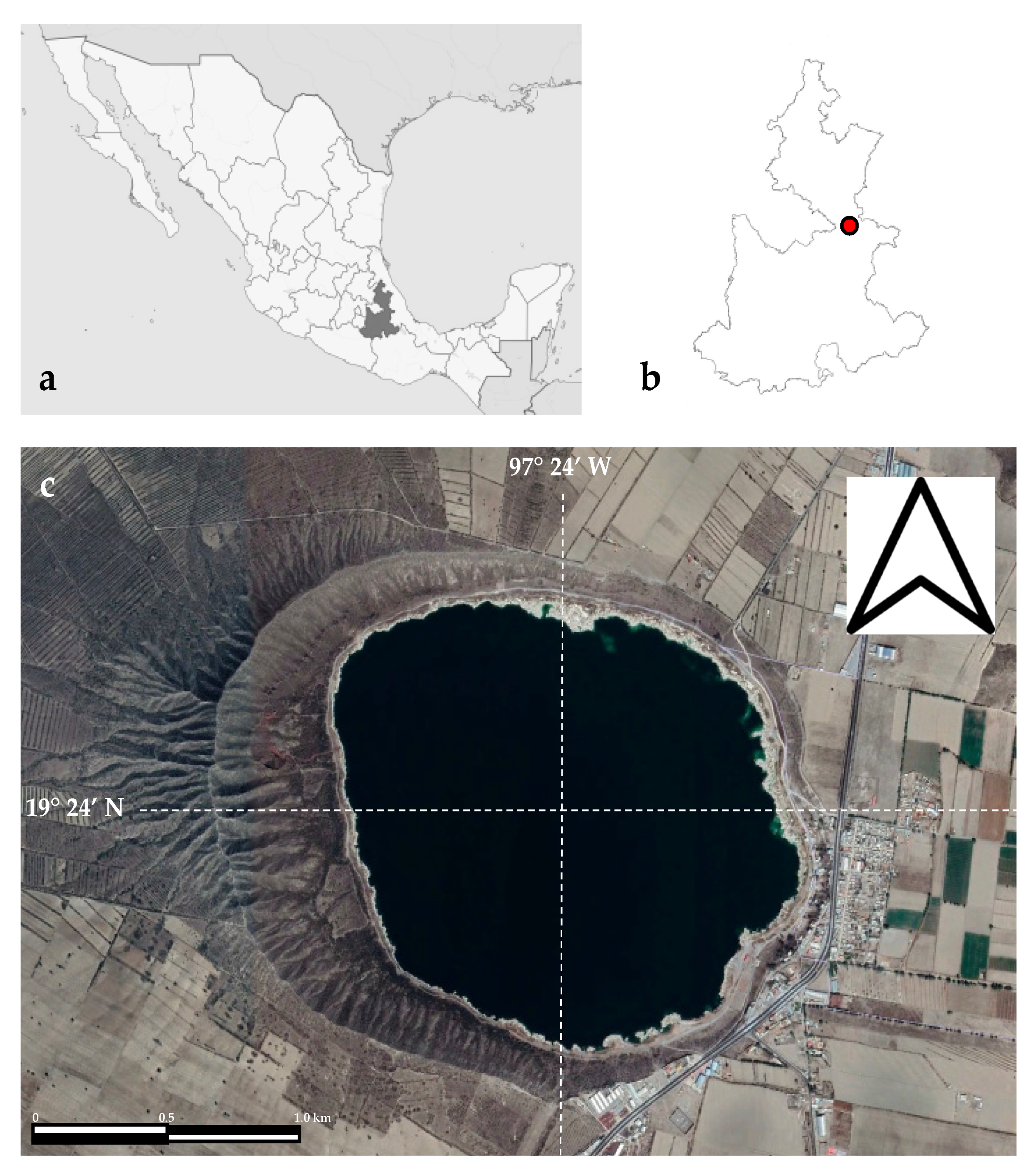 Diversity 14 00190 g001 Diversity 14 00190 g001