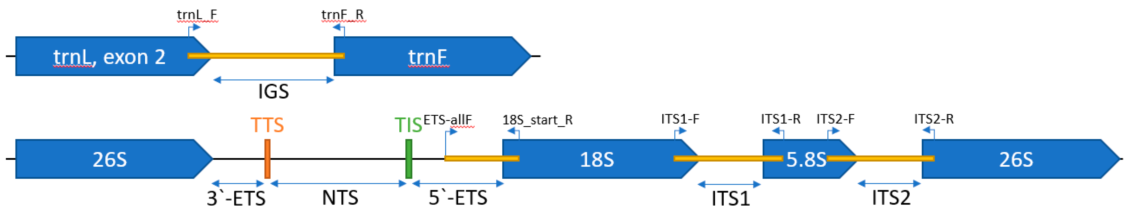 Diversity 14 00191 g001 Diversity 14 00191 g001