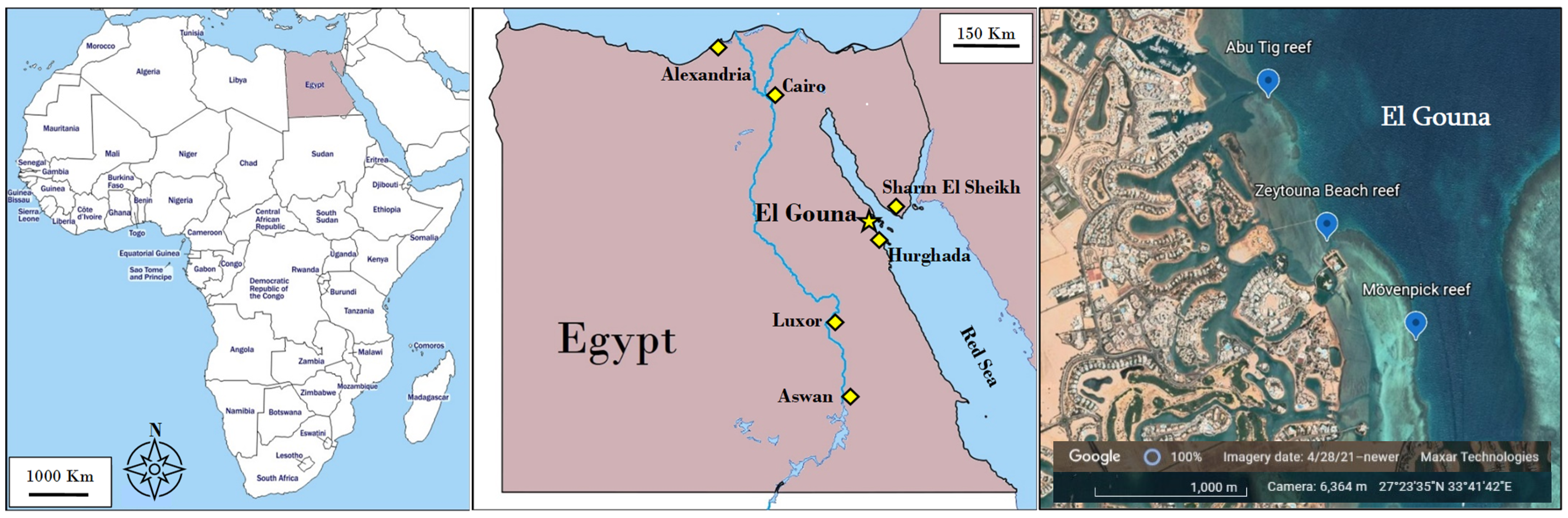 Diversity 14 00197 g001