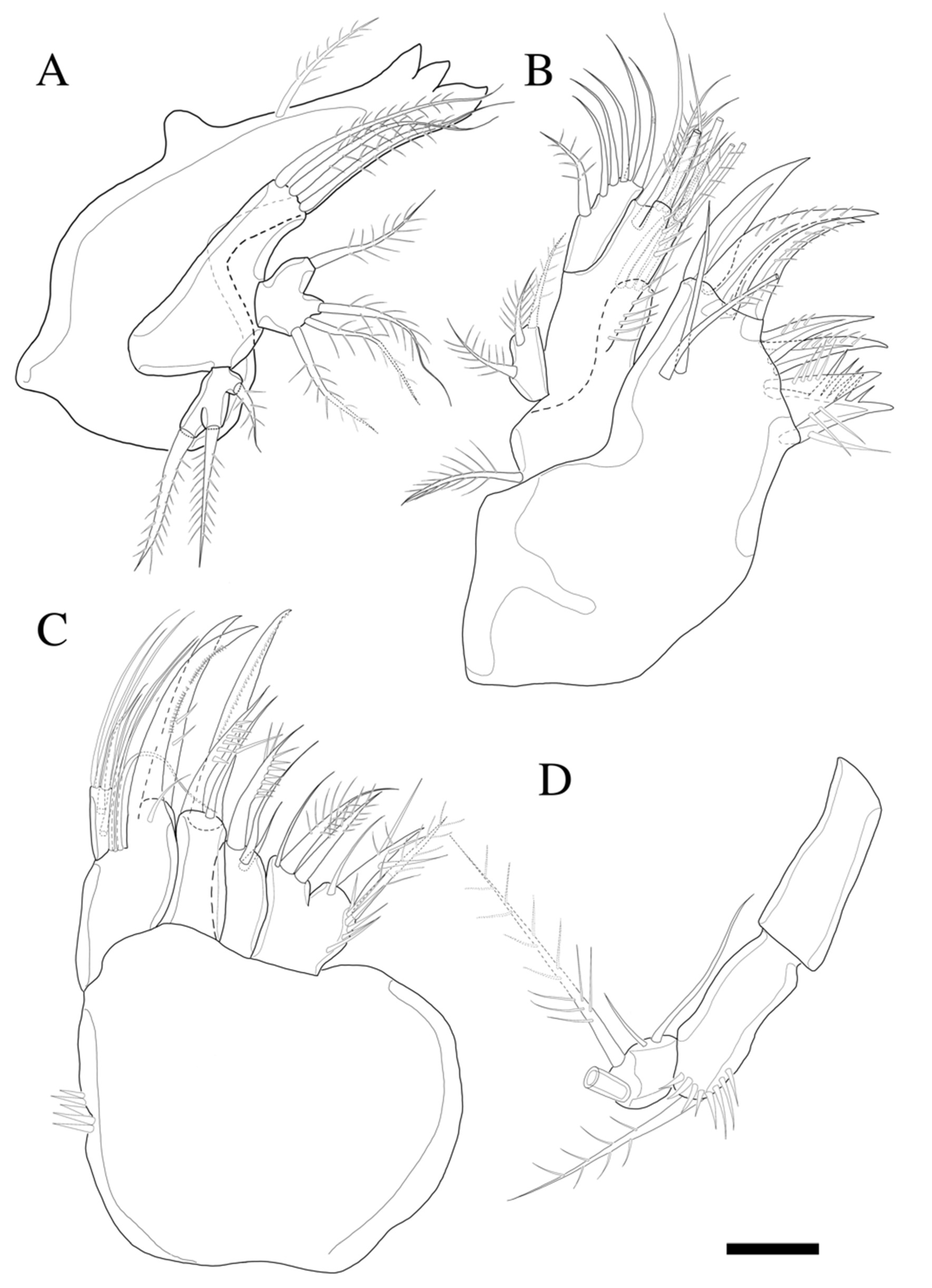 Diversity 14 00198 g004 550