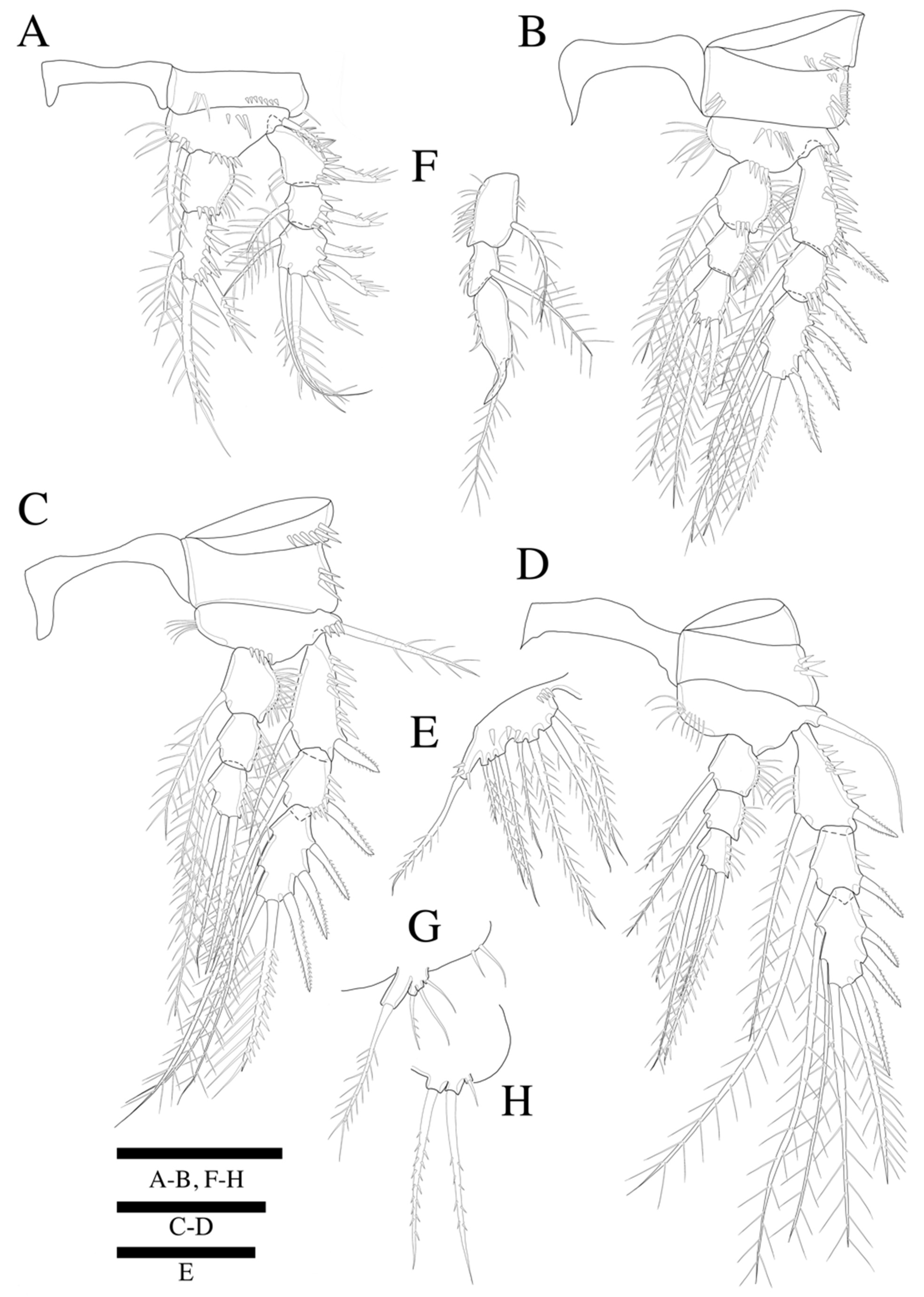 Diversity 14 00198 g008 550