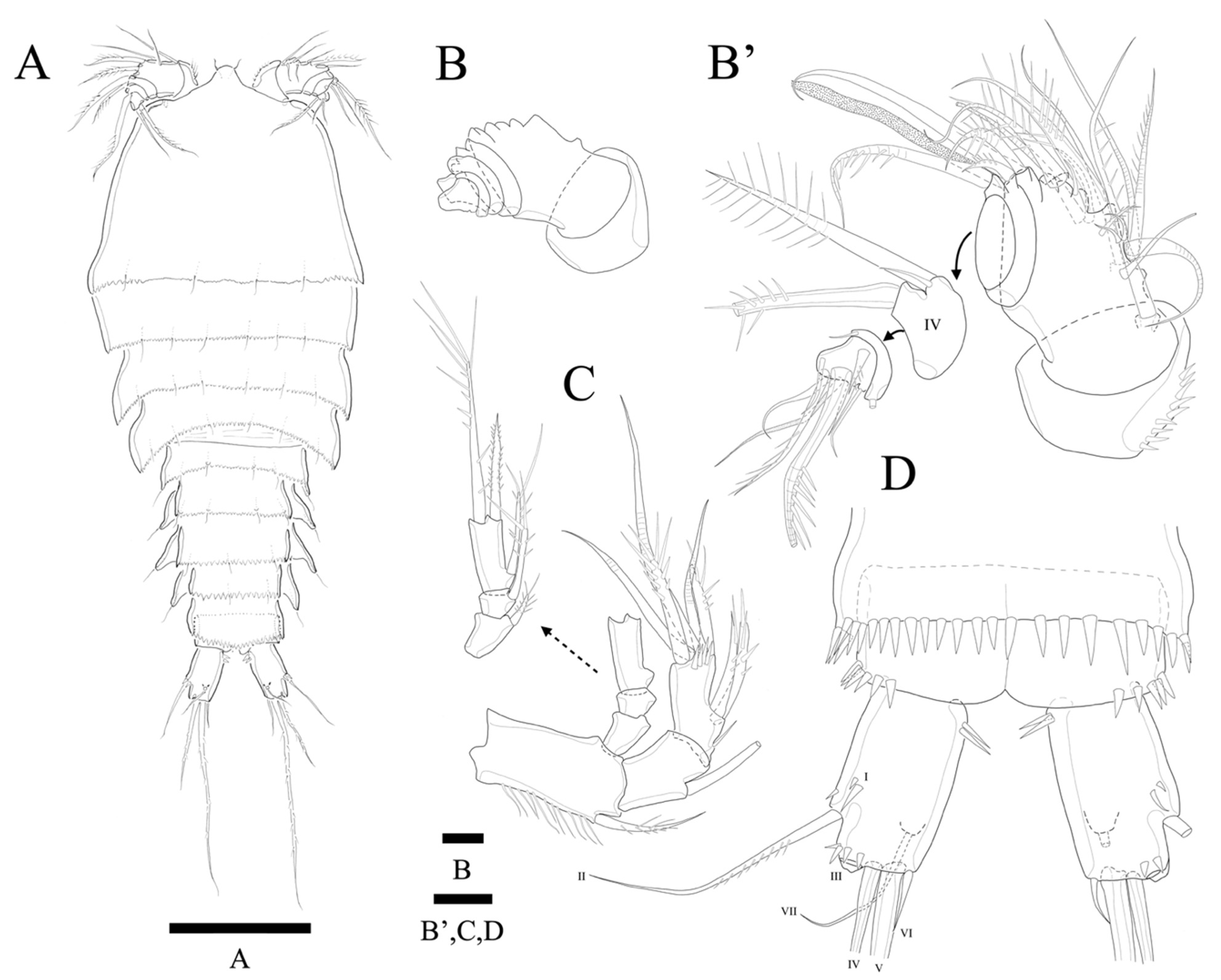 Diversity 14 00198 g009 550
