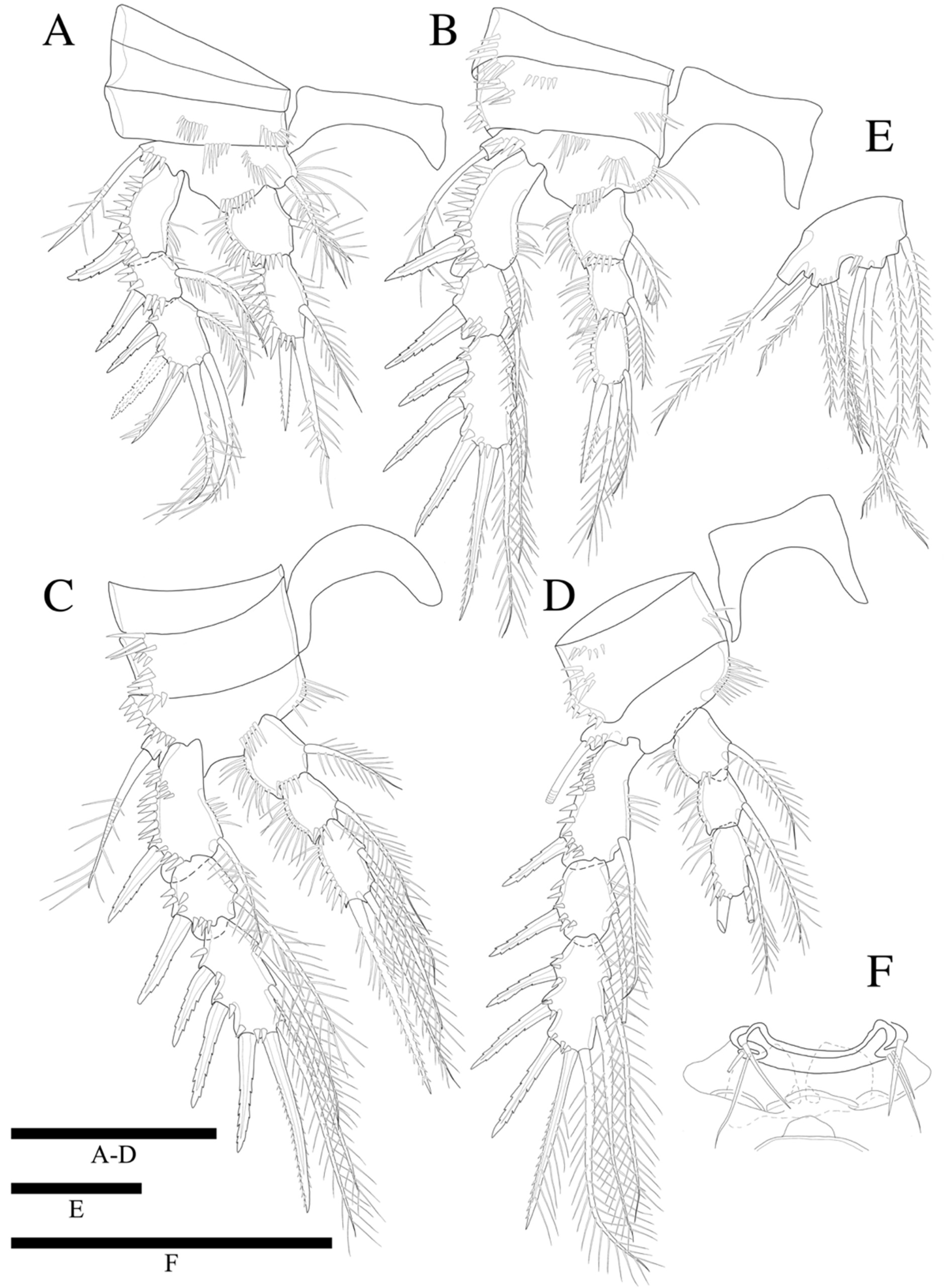 Diversity 14 00198 g010 550