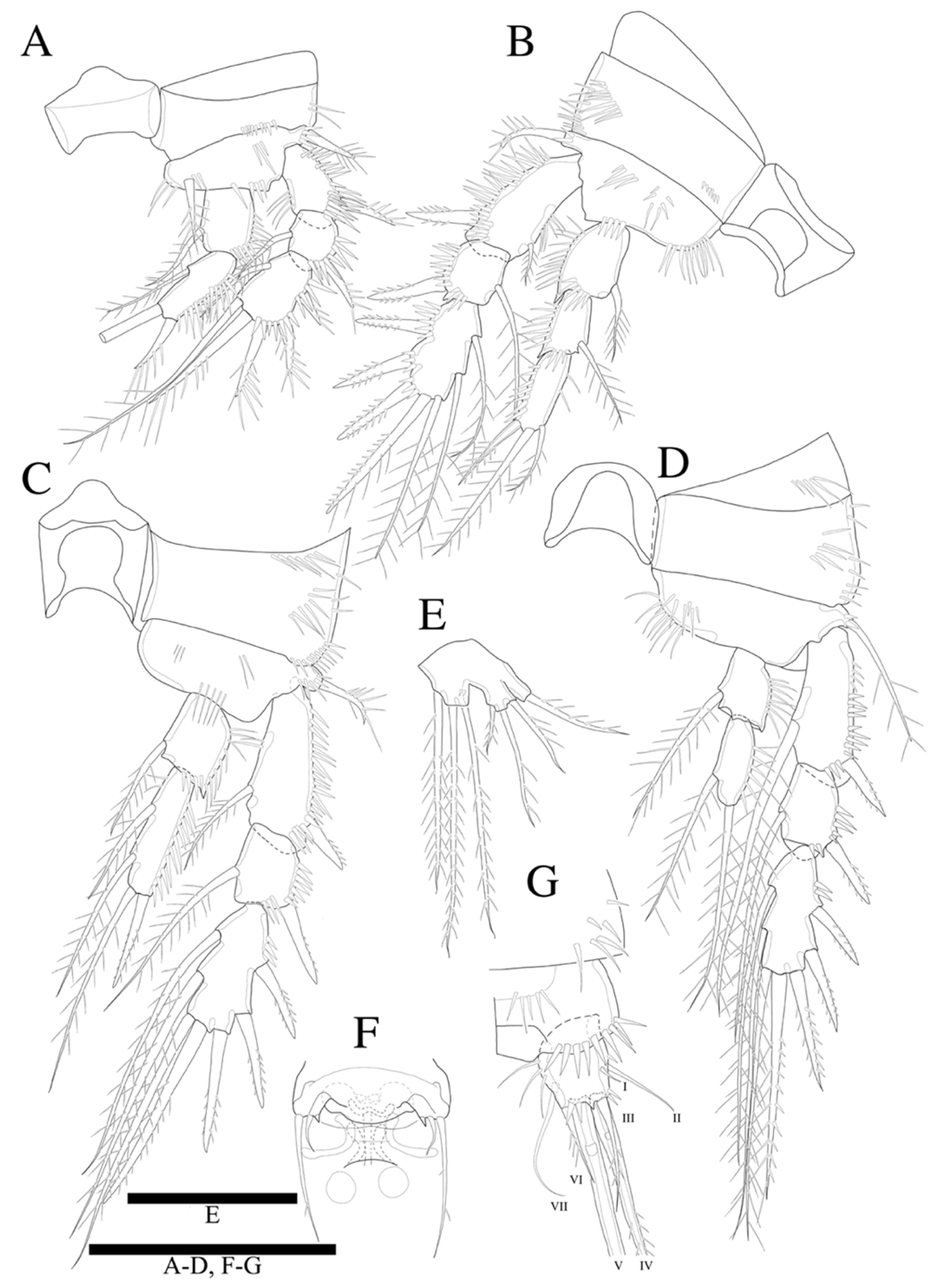 Diversity 14 00198 g012 550