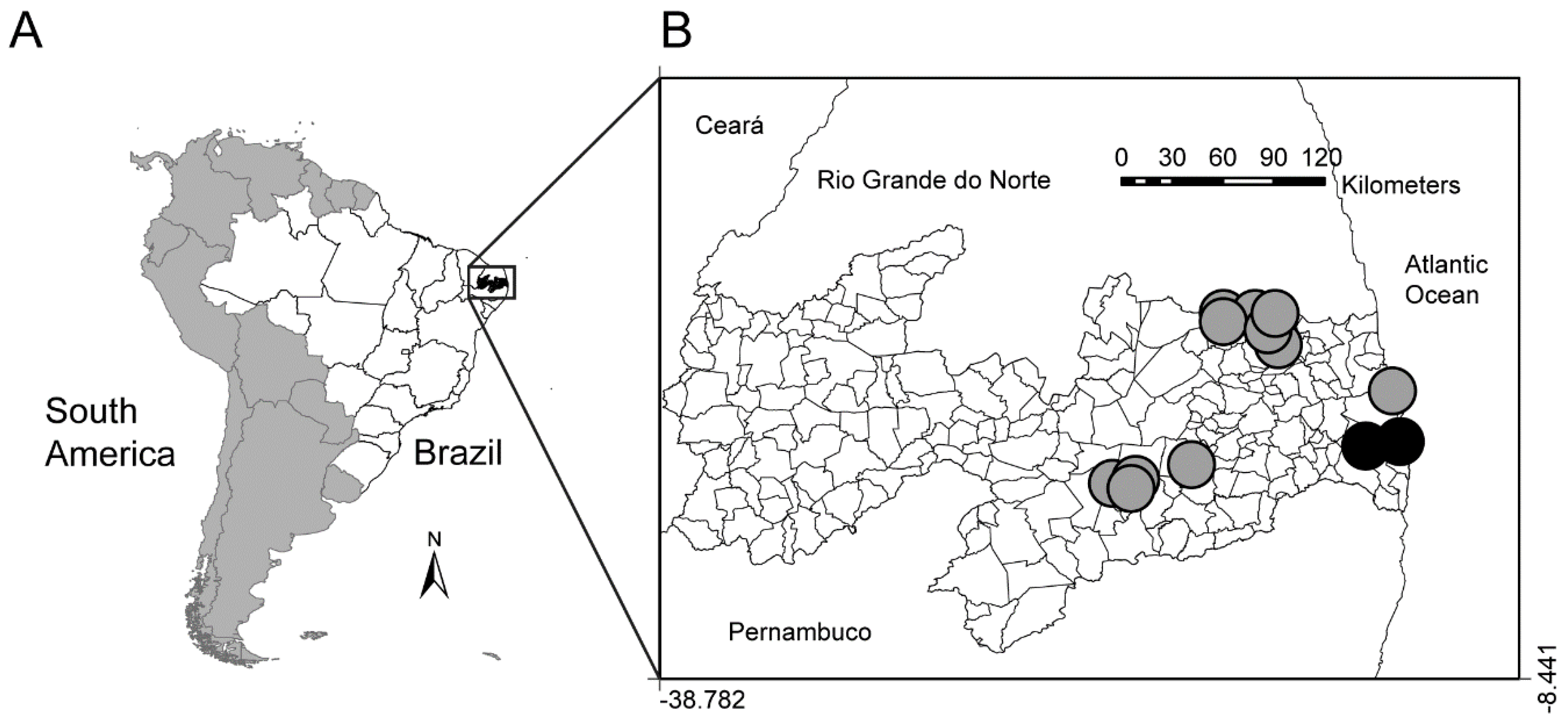 Diversity 14 00203 g001