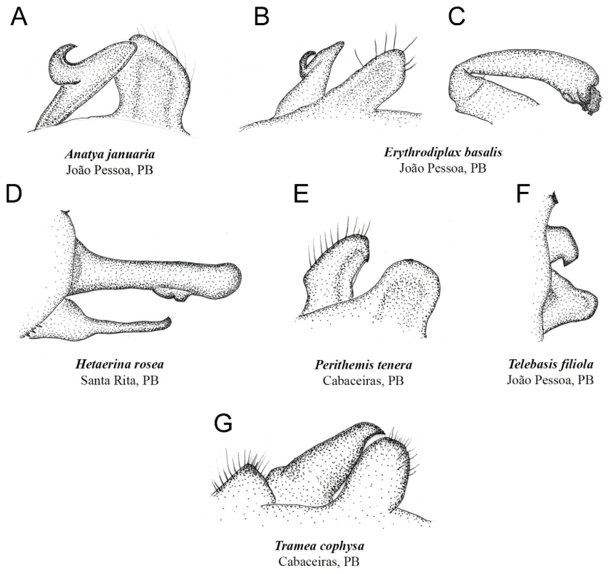 Diversity 14 00203 g005