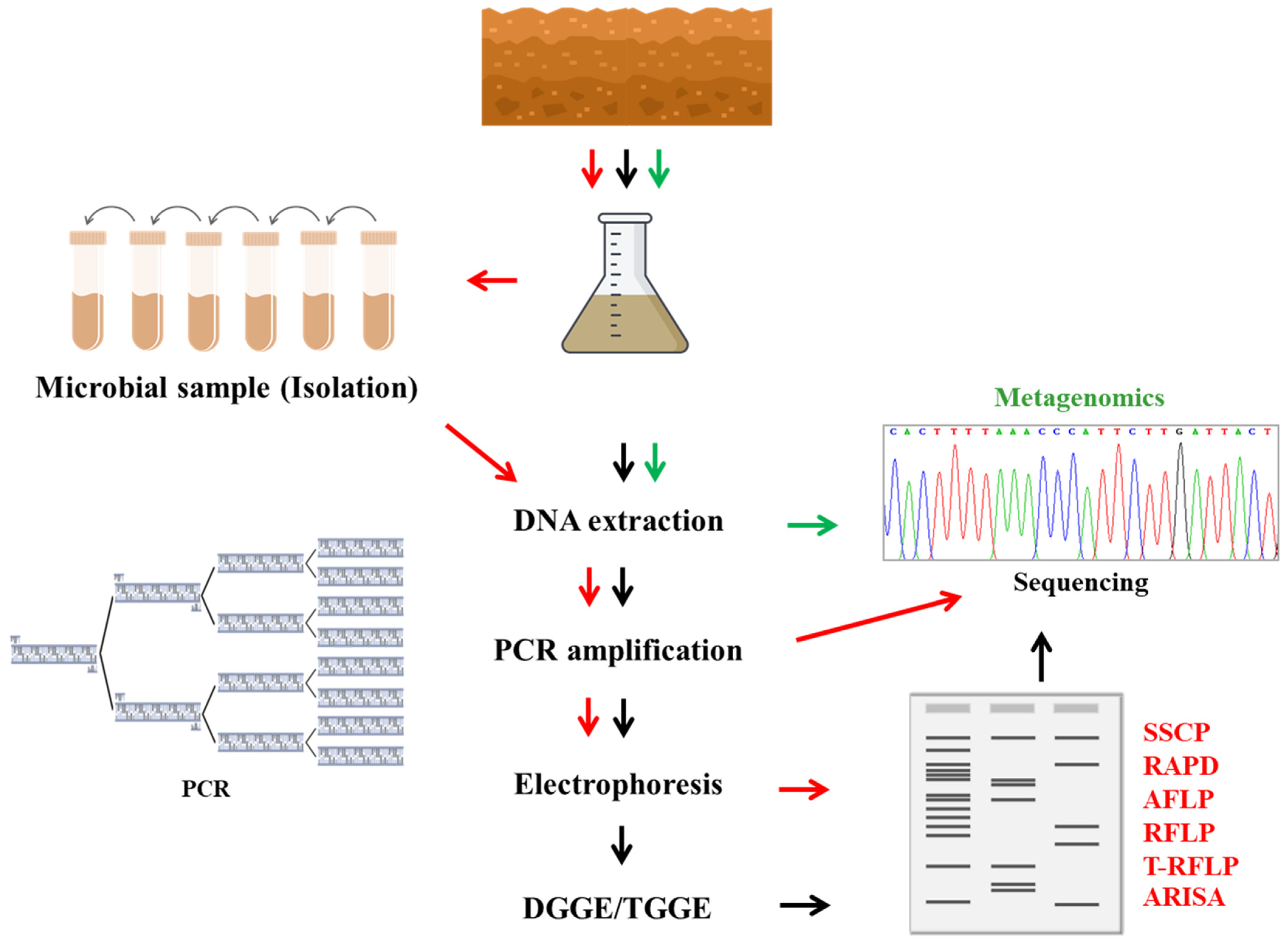 Diversity 14 00206 g002
