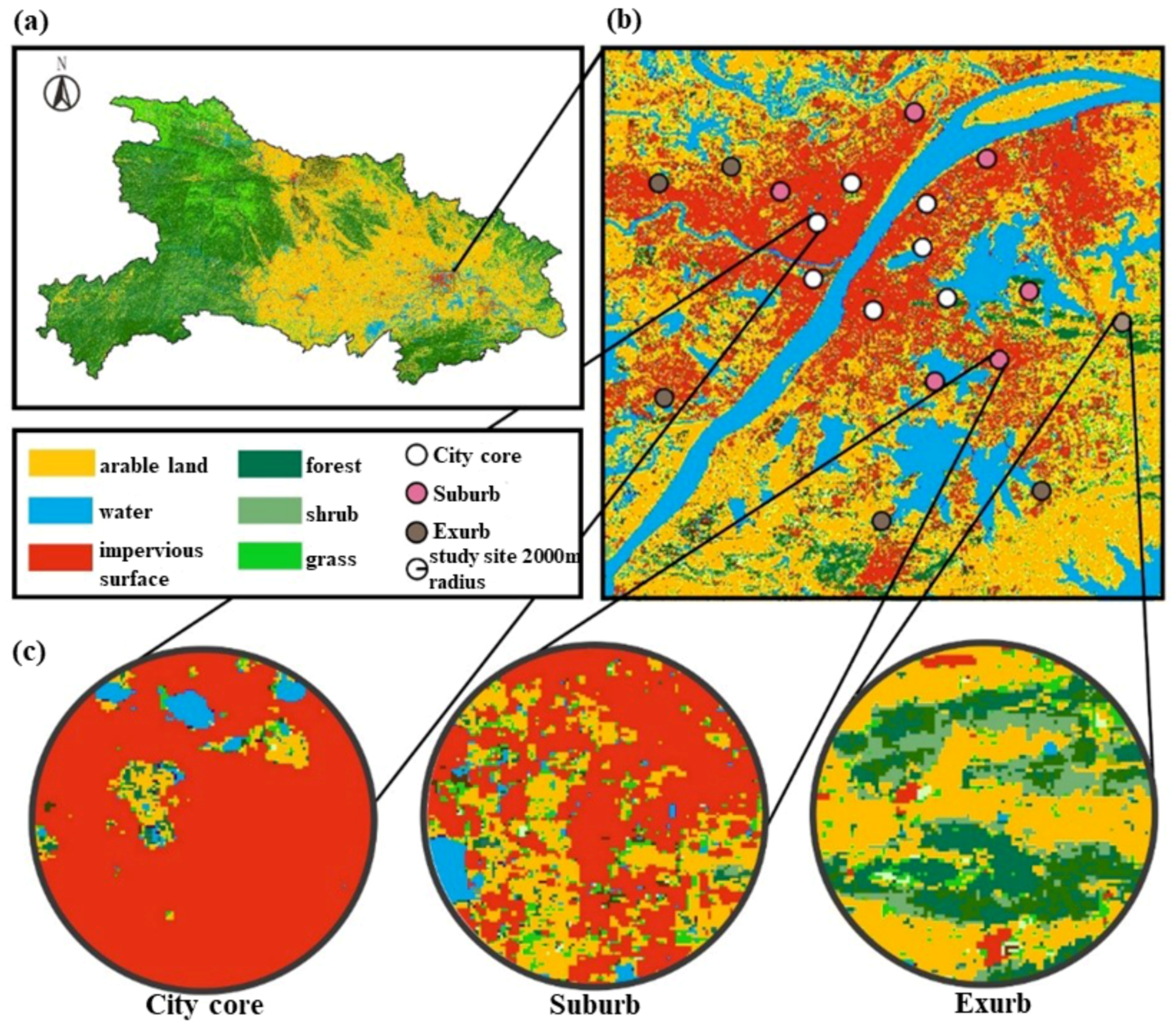 Diversity 14 00208 g001