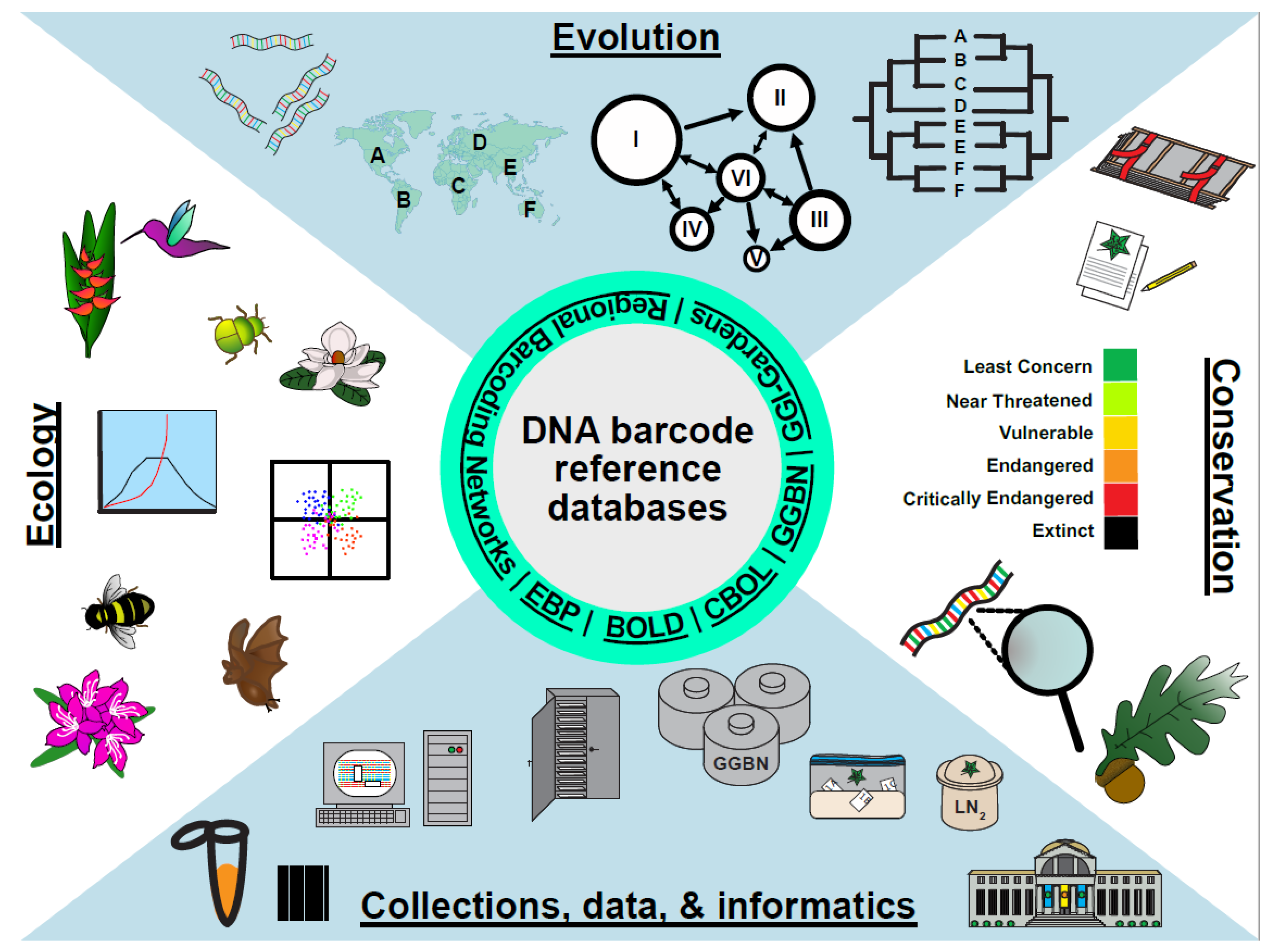 Diversity 14 00213 g002 550
